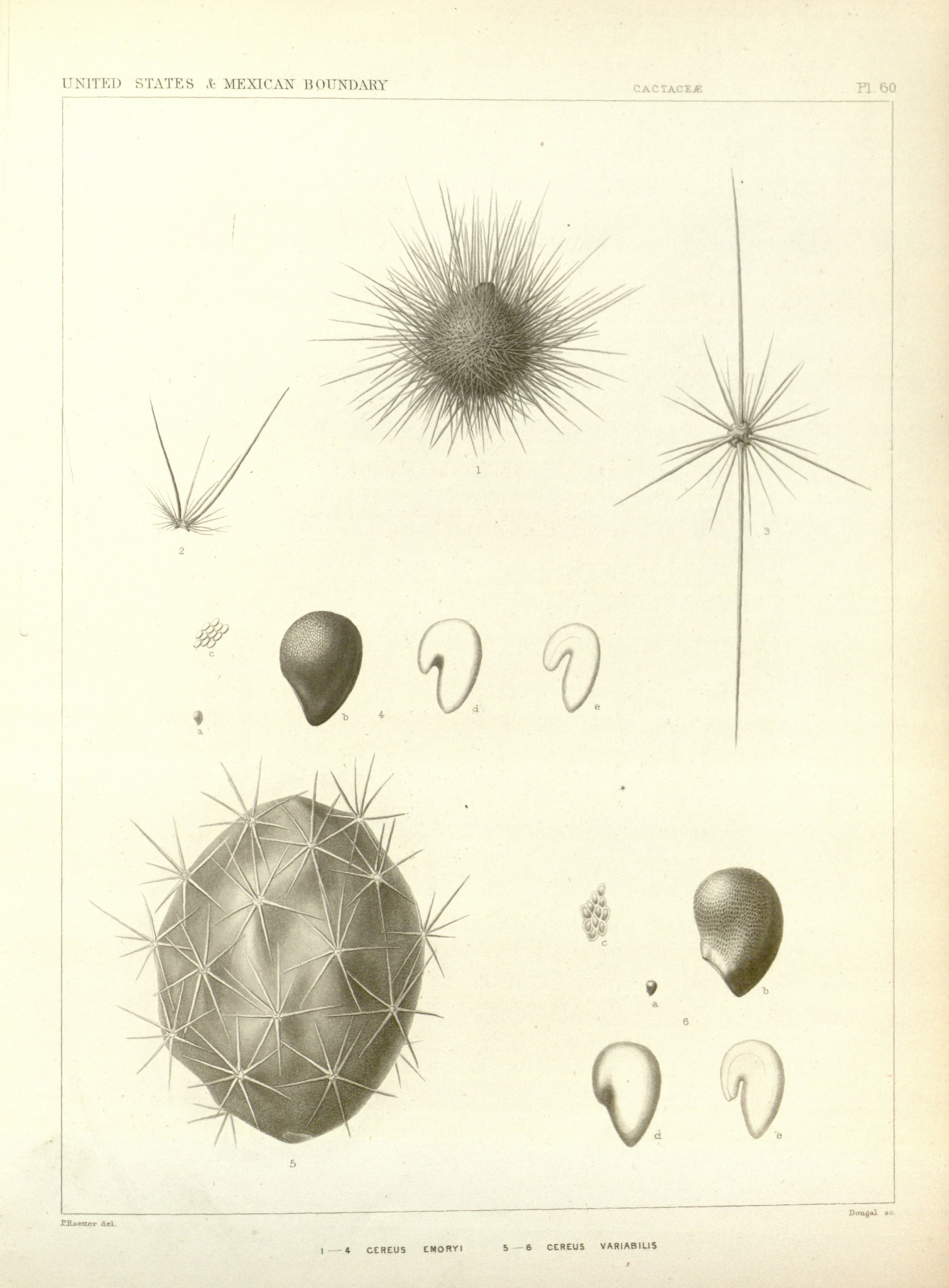 no full size  illustration available (3a)