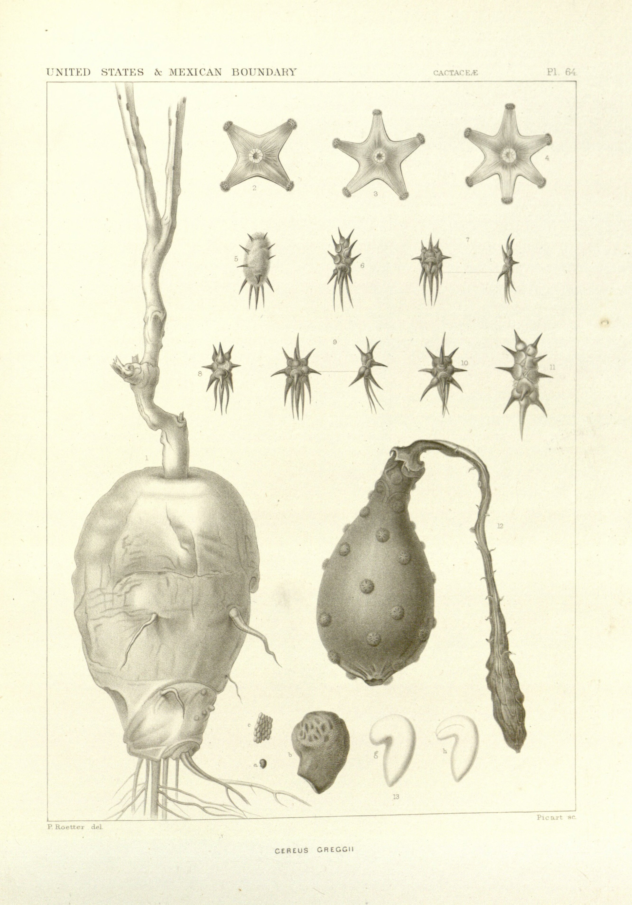 no full size  illustration available (3a)