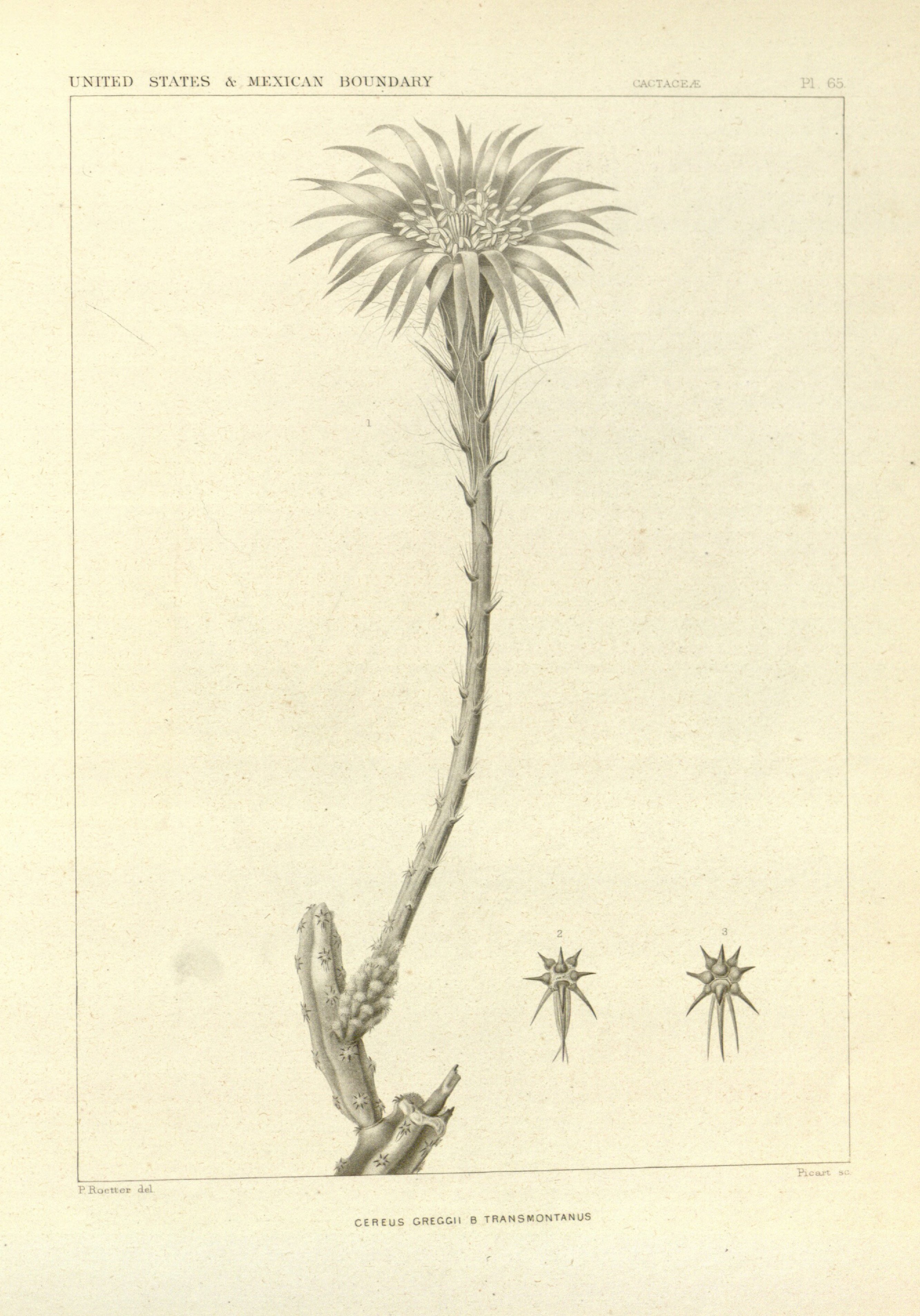 no full size  illustration available (3a)