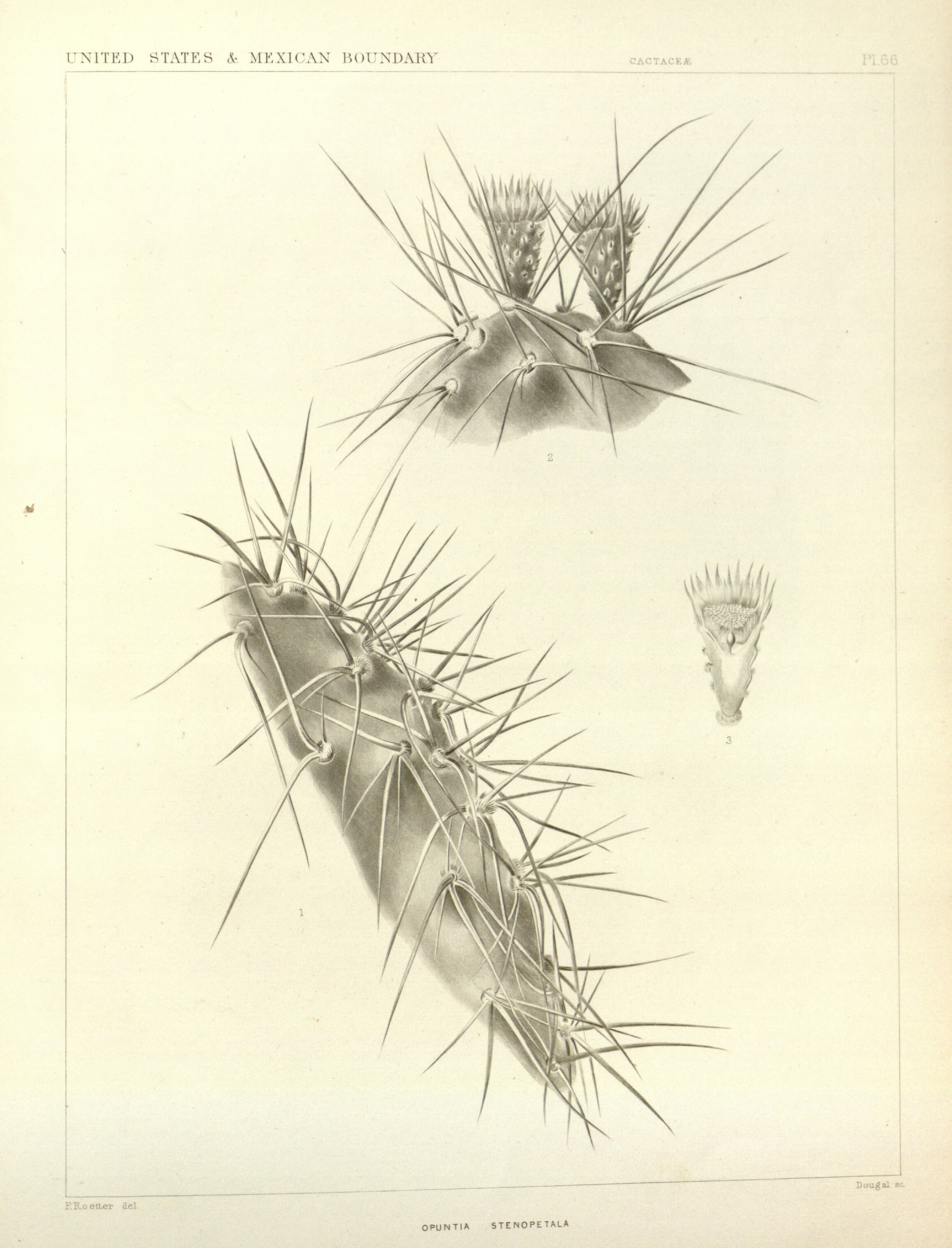 no full size  illustration available (3a)