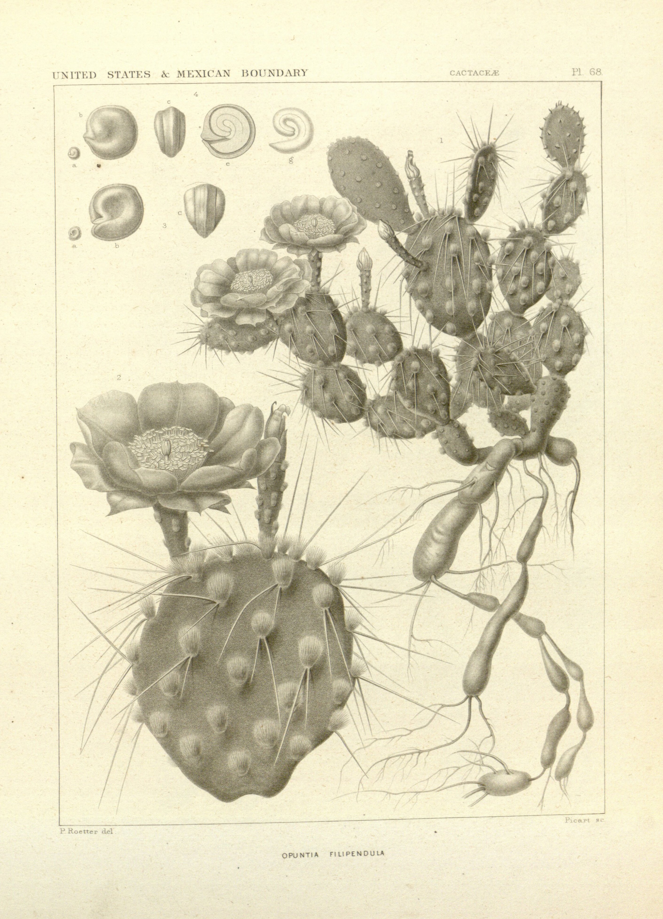 no full size  illustration available (3a)