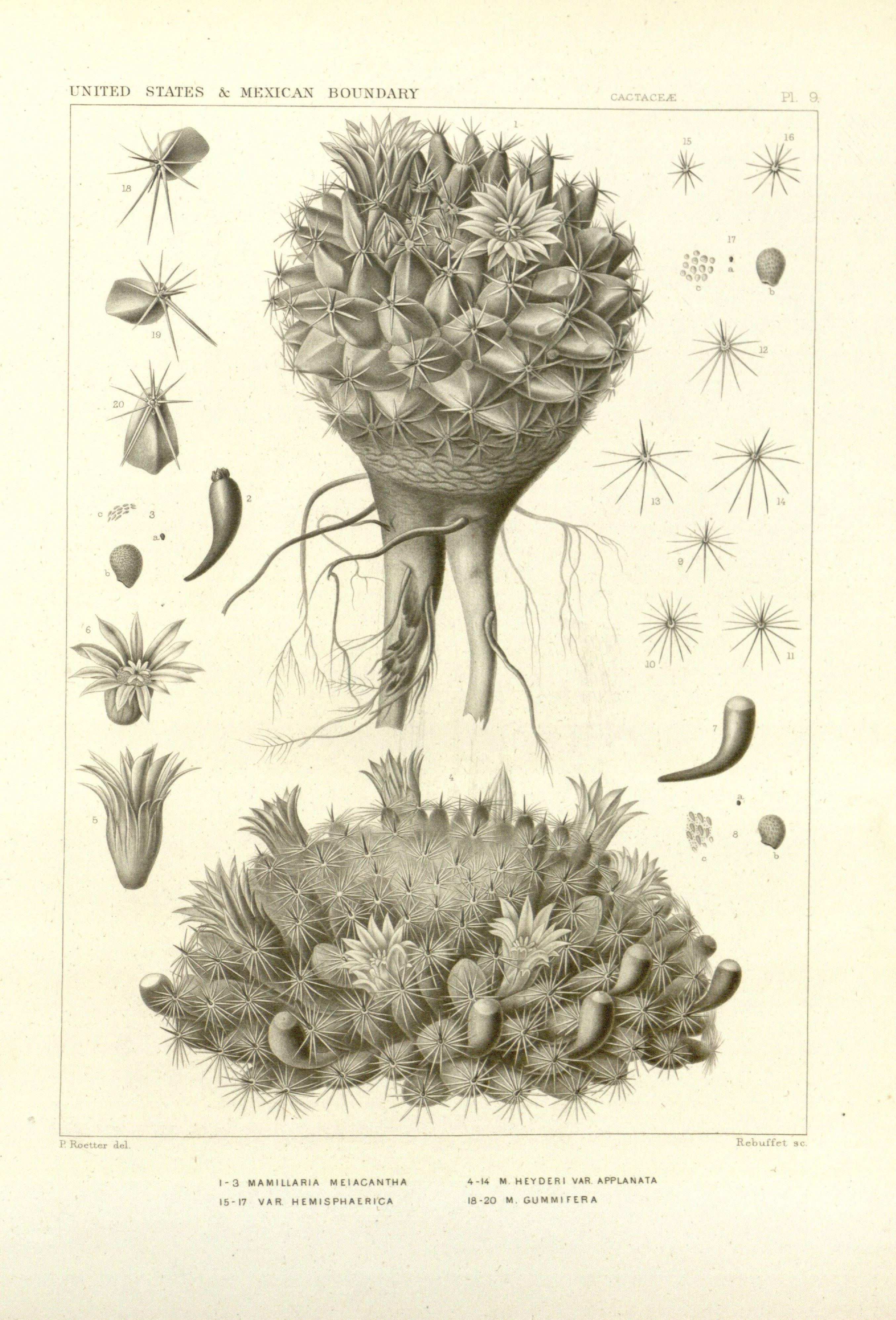 no full size  illustration available (3a)