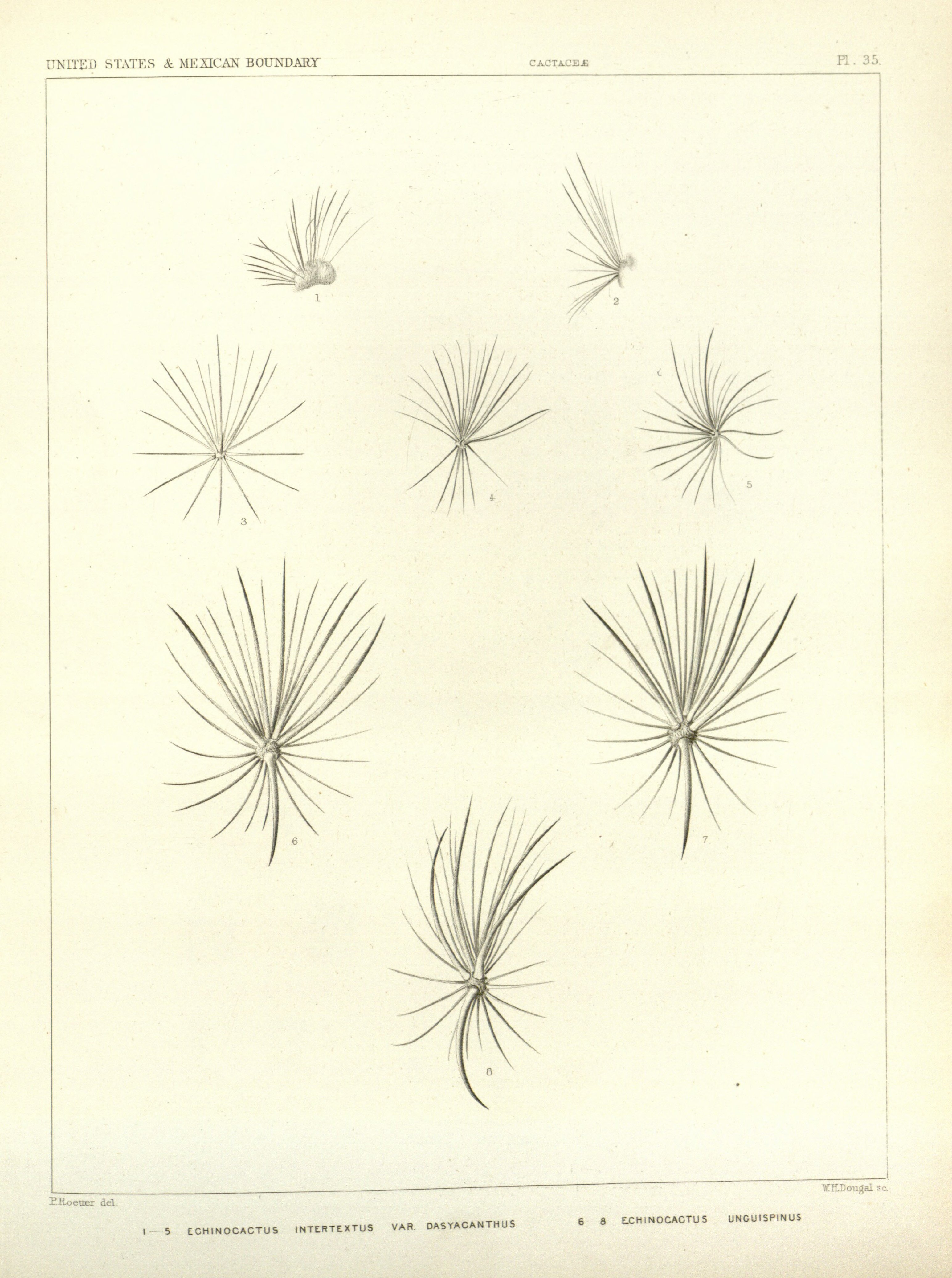 no full size  illustration available (3a)