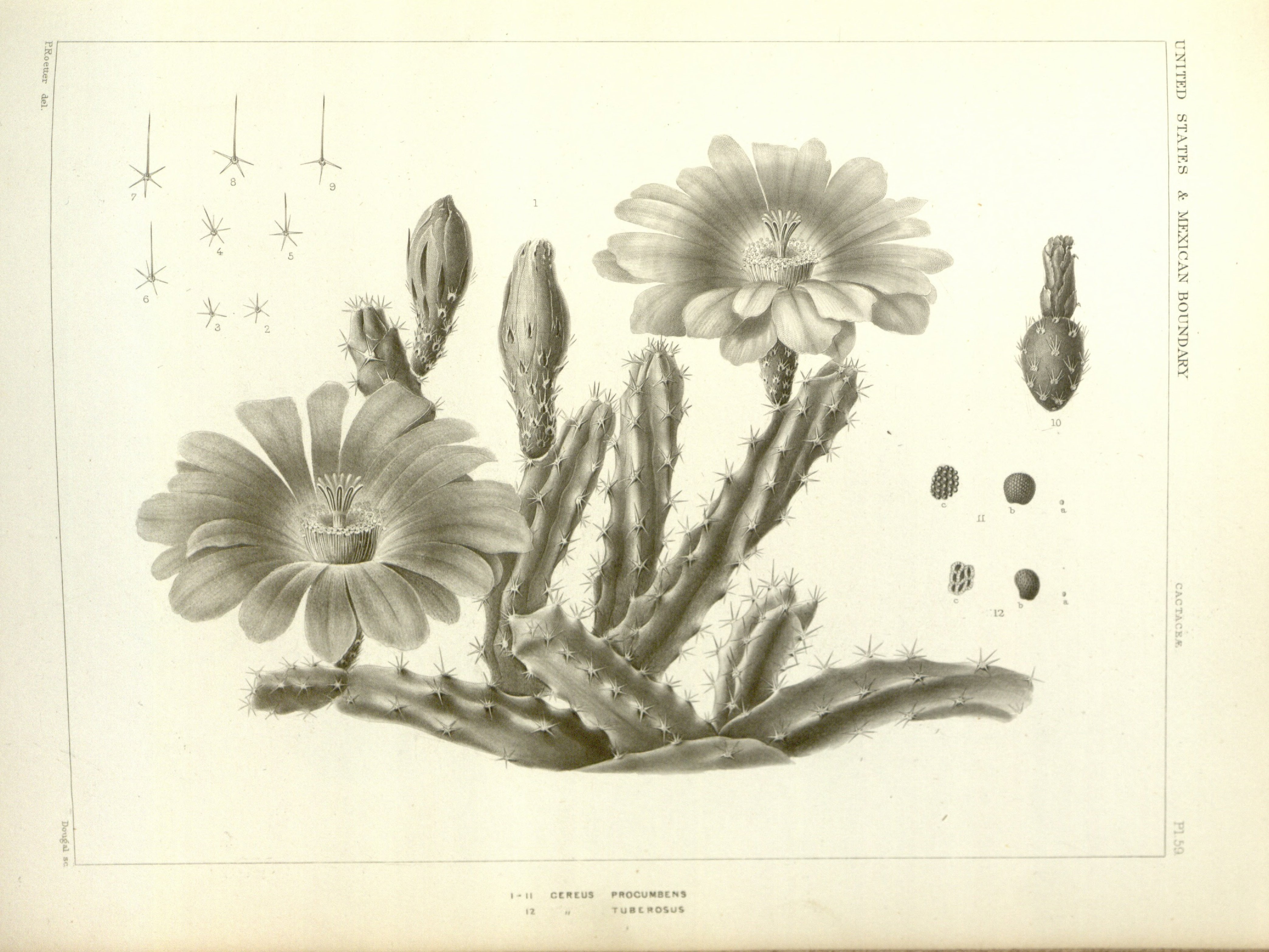 no full size  illustration available (3a)