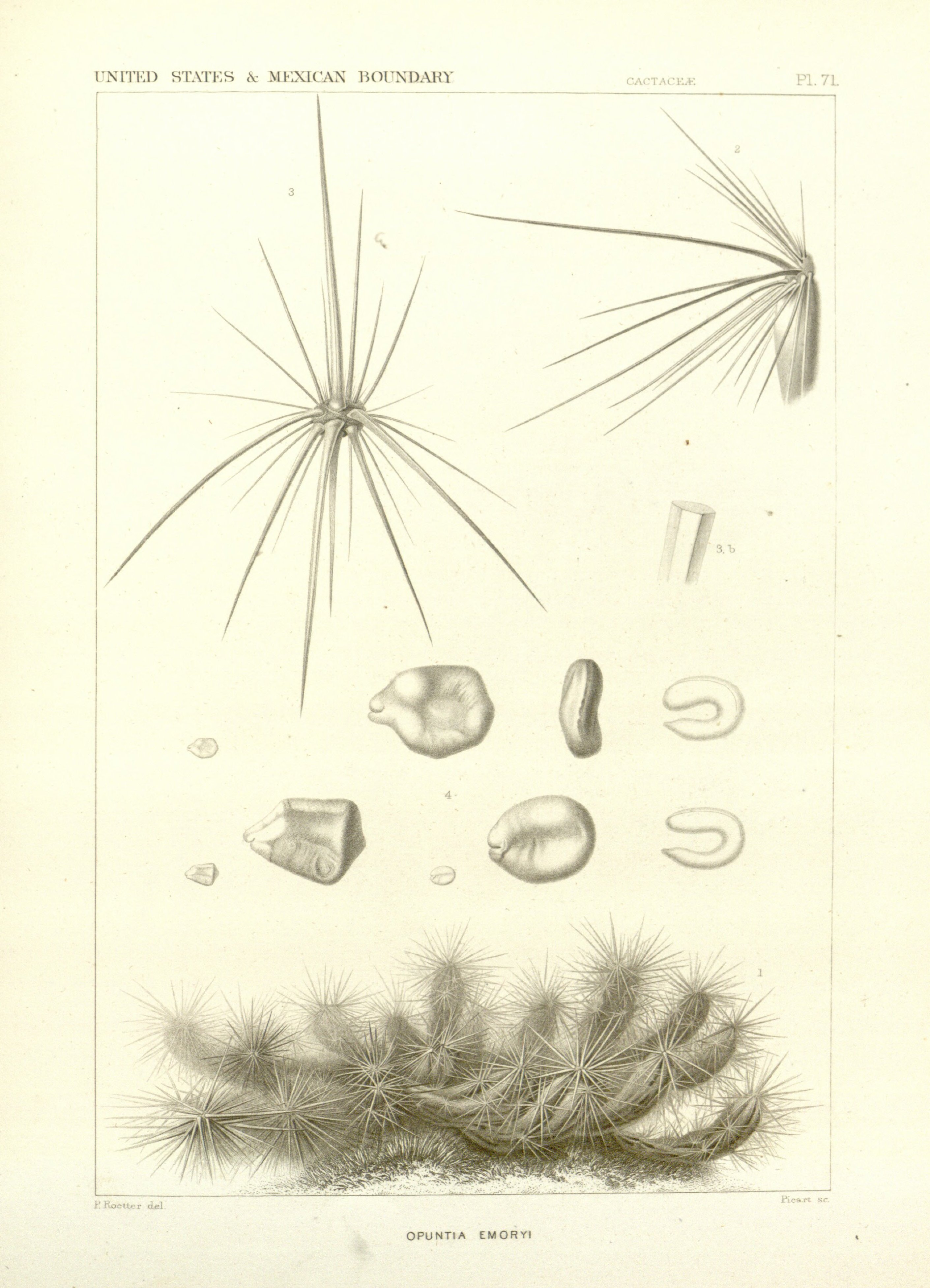 no full size  illustration available (3a)