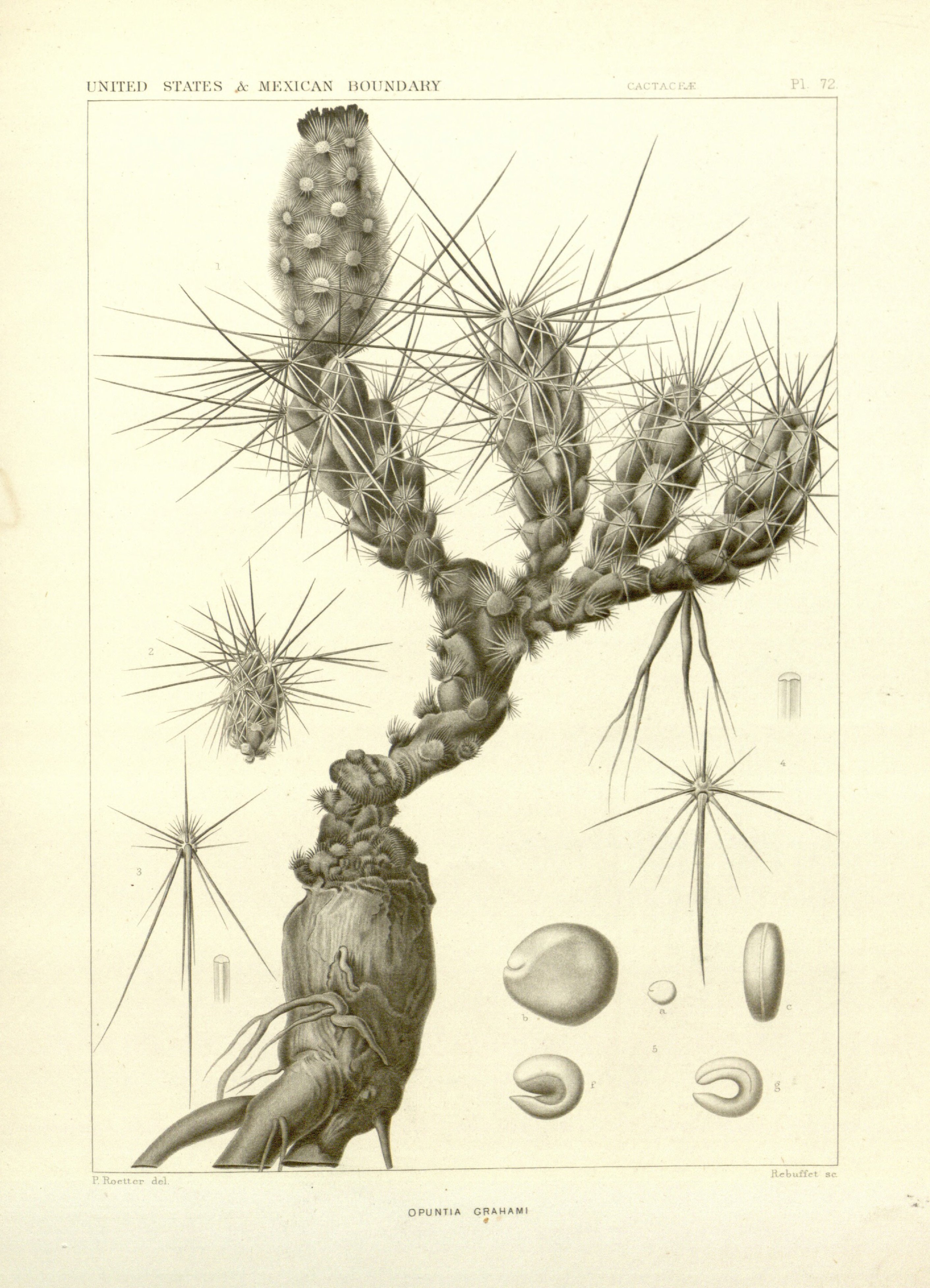 no full size  illustration available (3a)