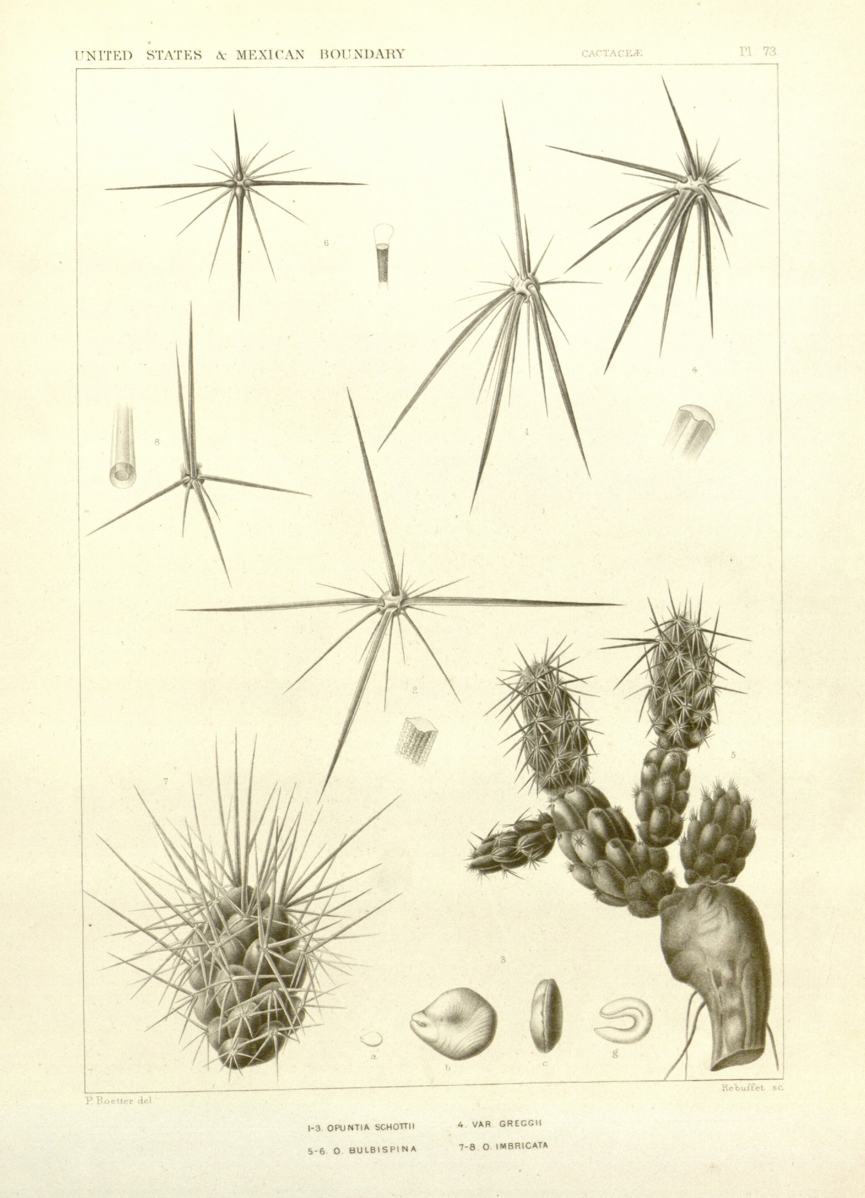 no full size  illustration available (3a)