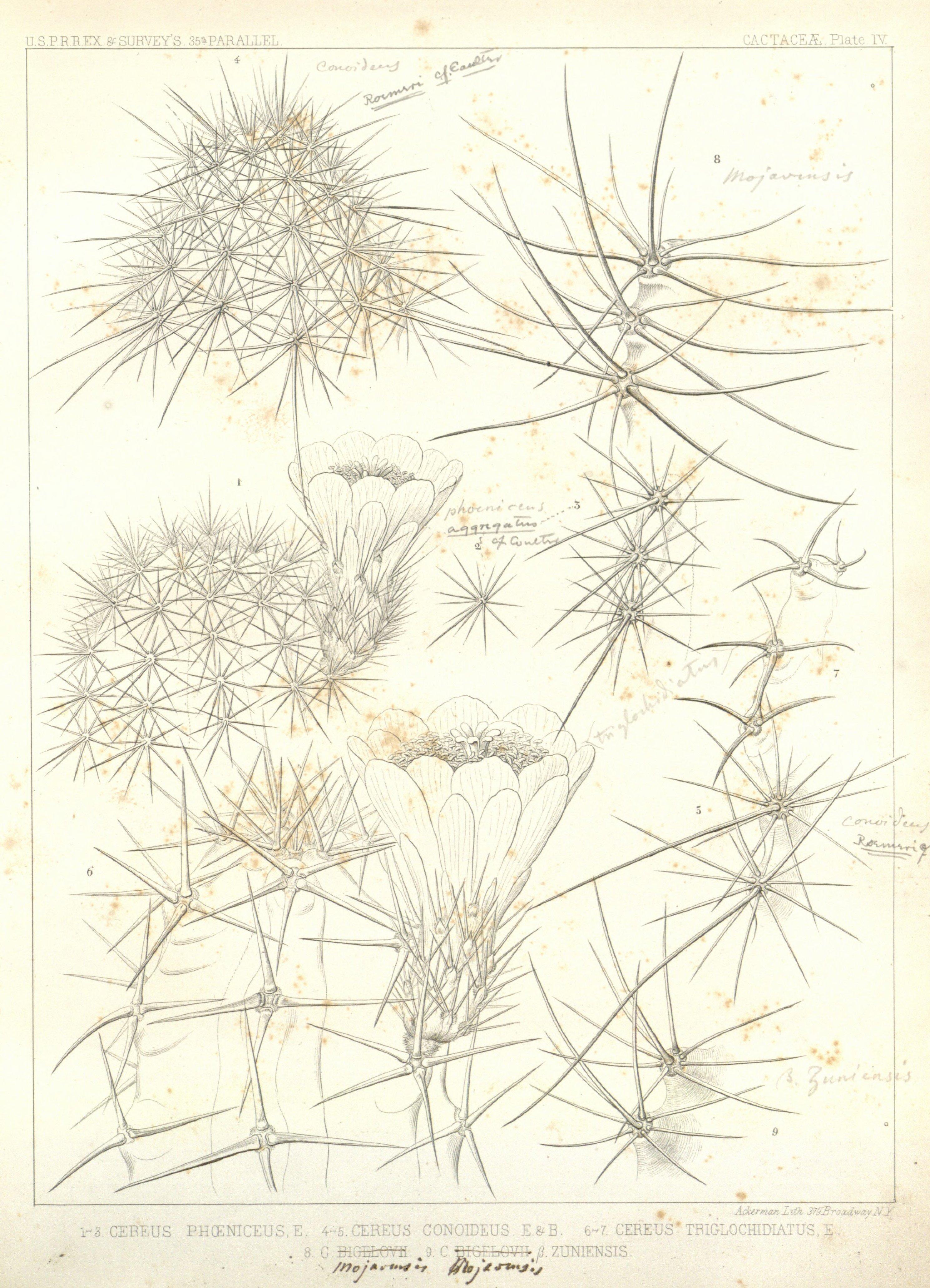 no full size  illustration available (3a)