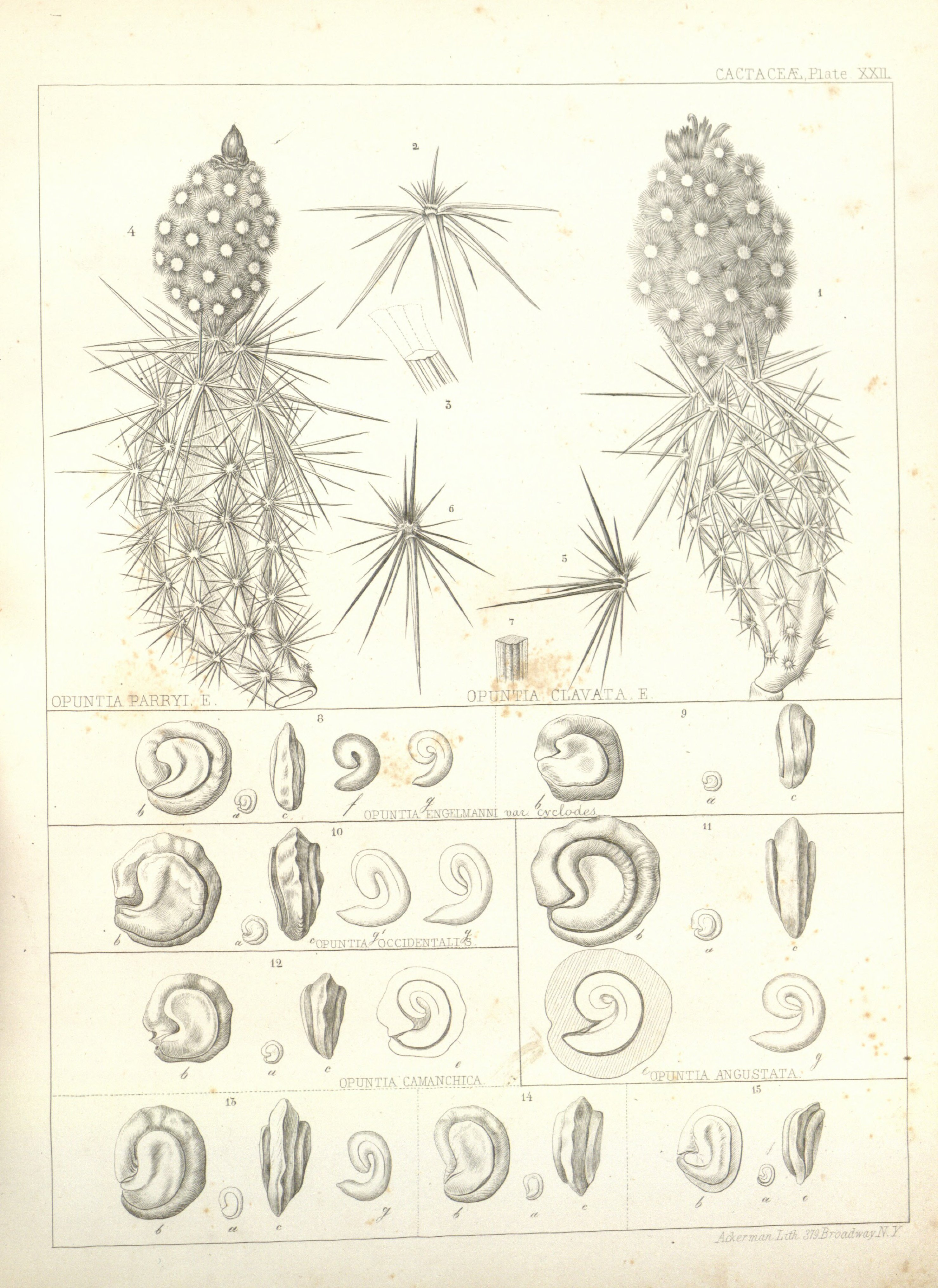 no full size  illustration available (3a)