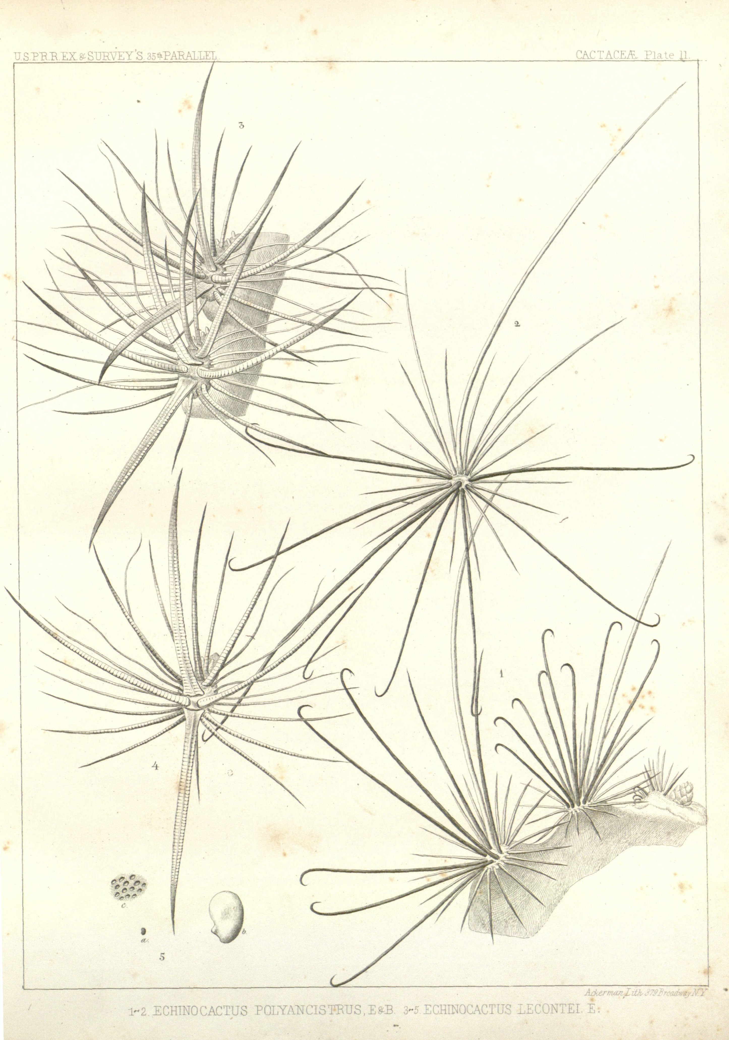 no full size  illustration available (3a)