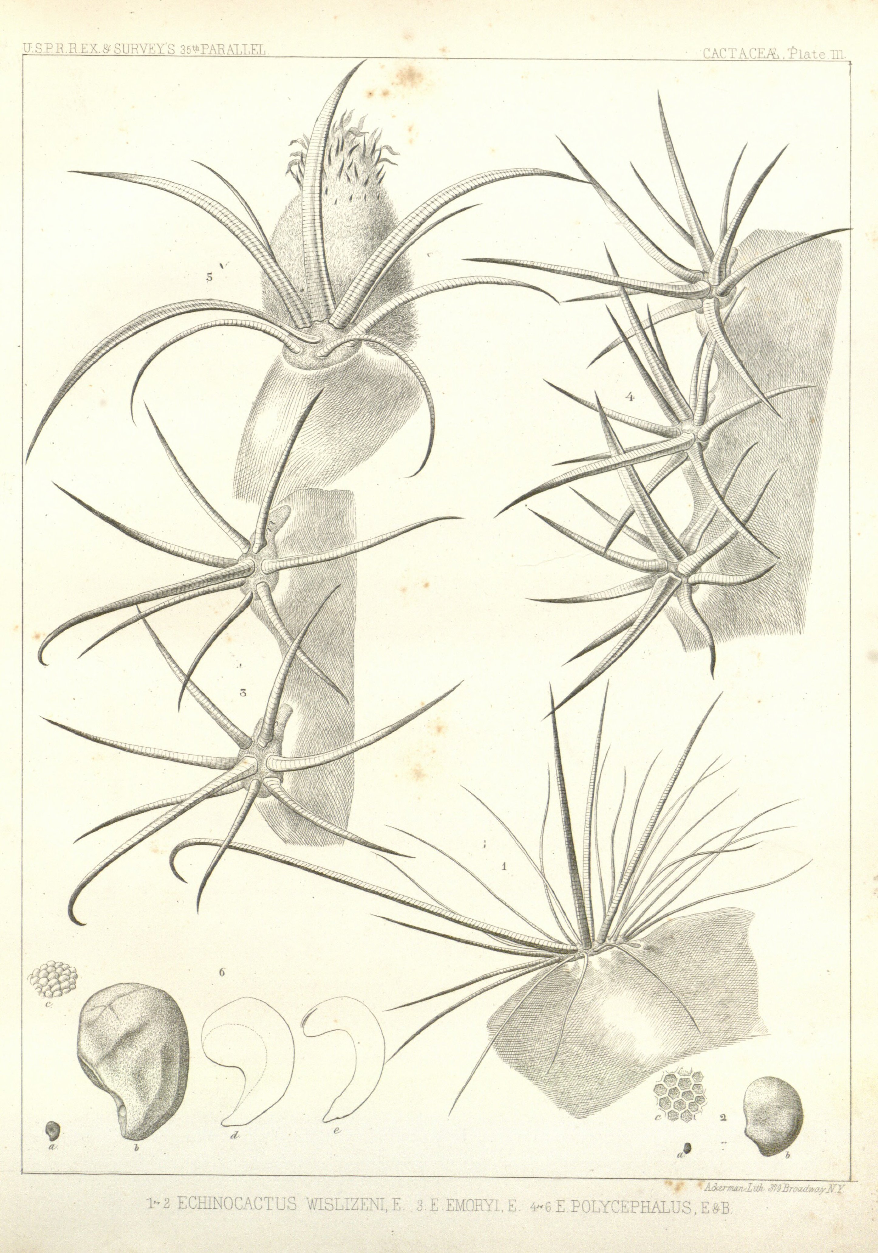 no full size  illustration available (3a)