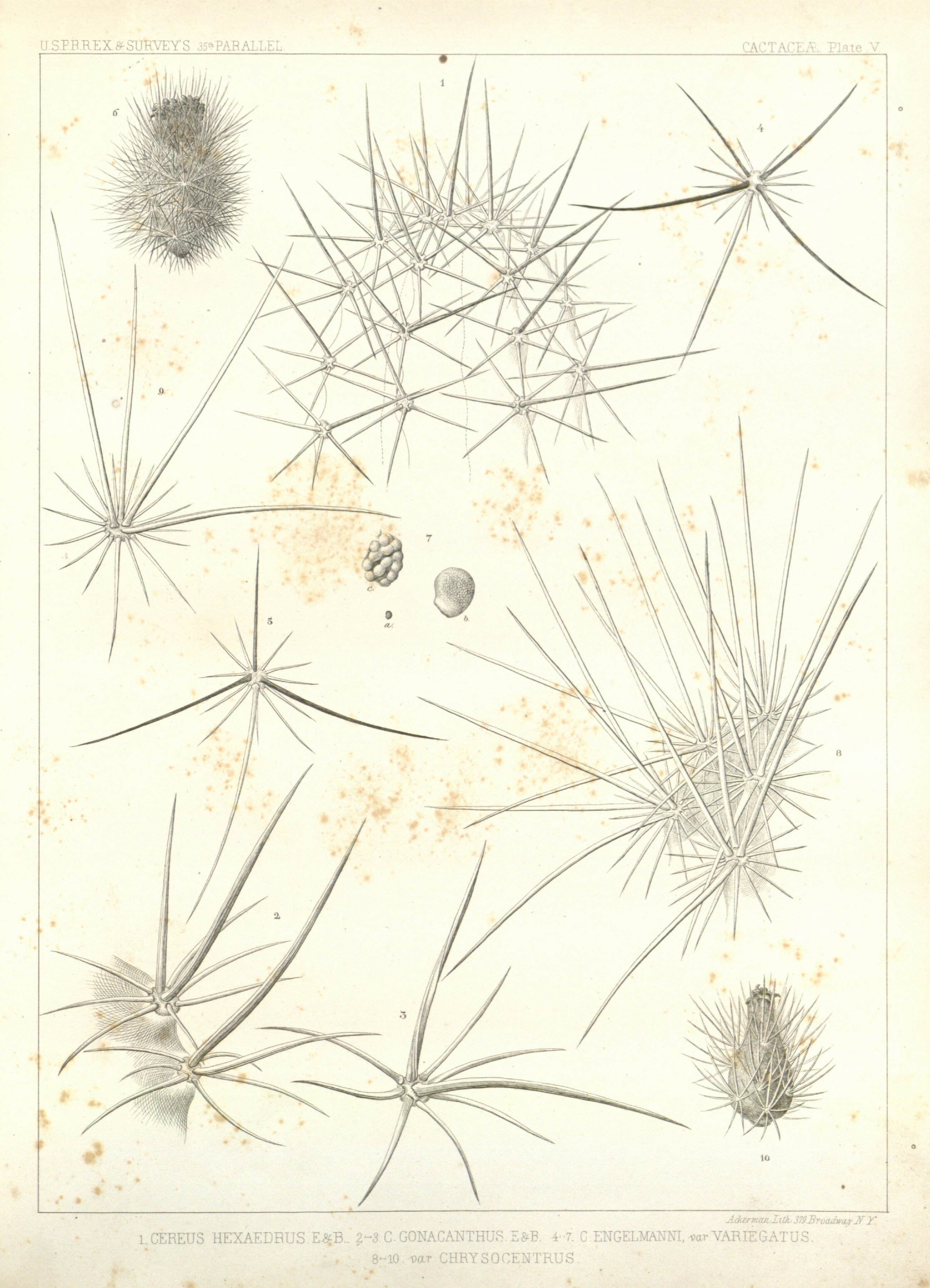 no full size  illustration available (3a)