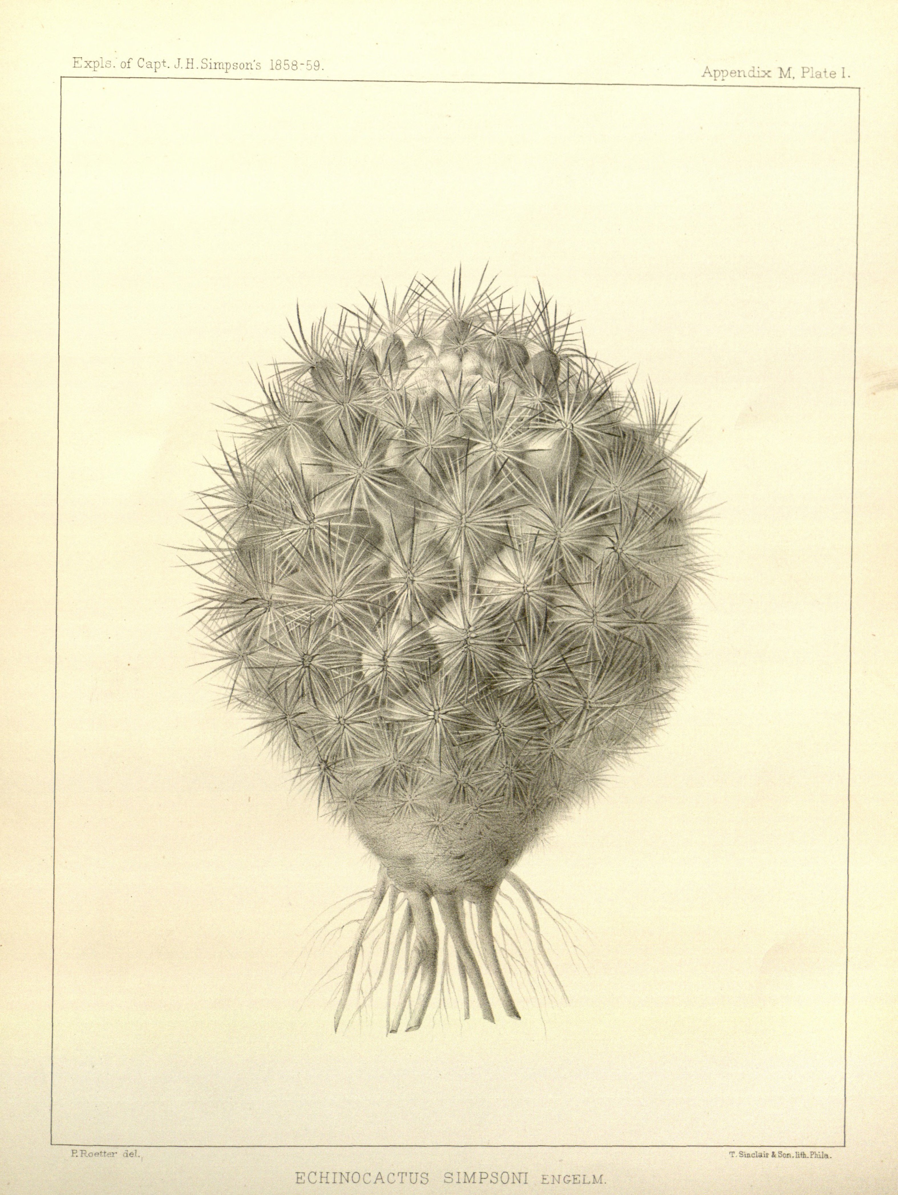 no full size  illustration available (3a)