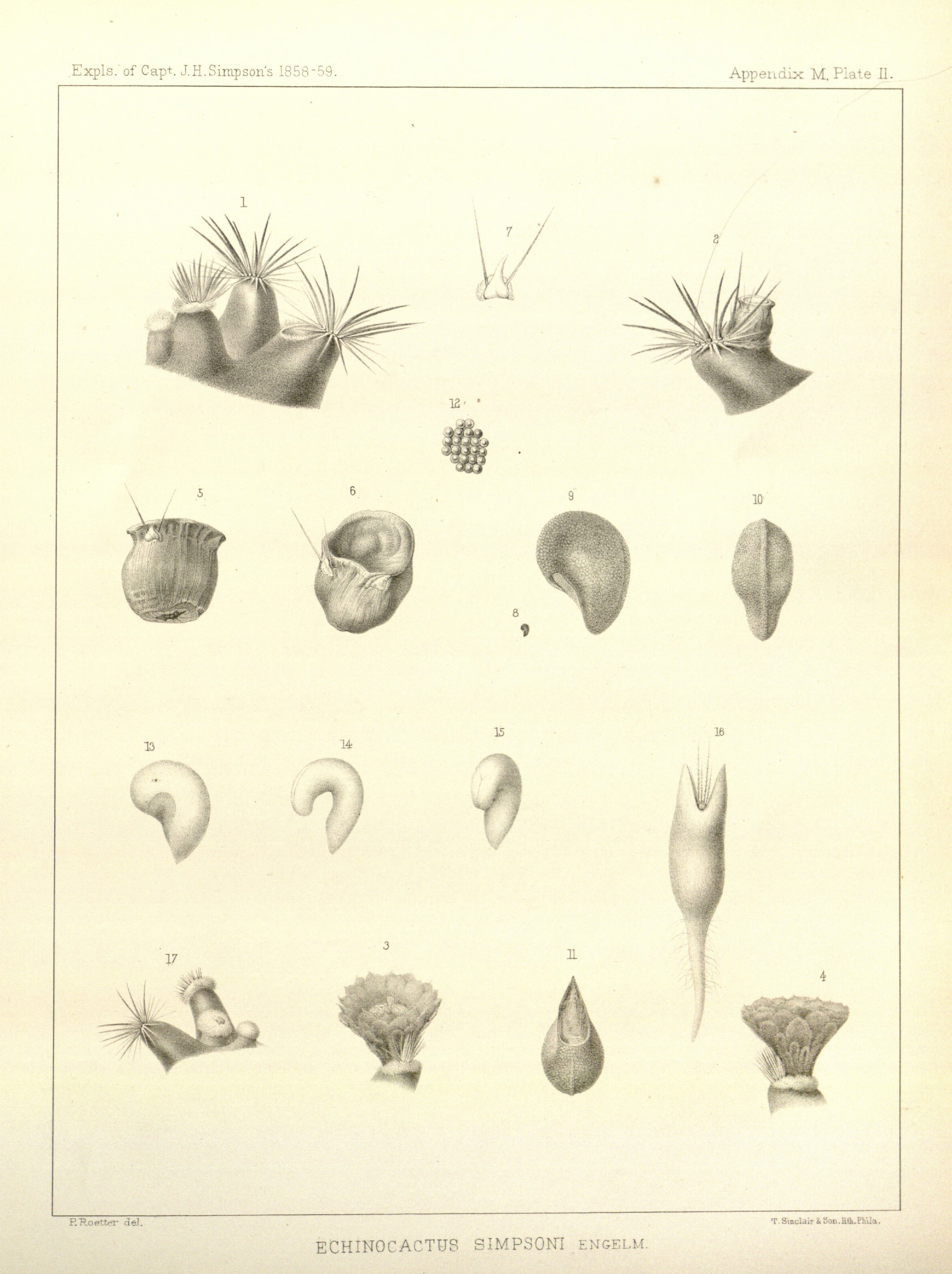 no full size  illustration available (3a)