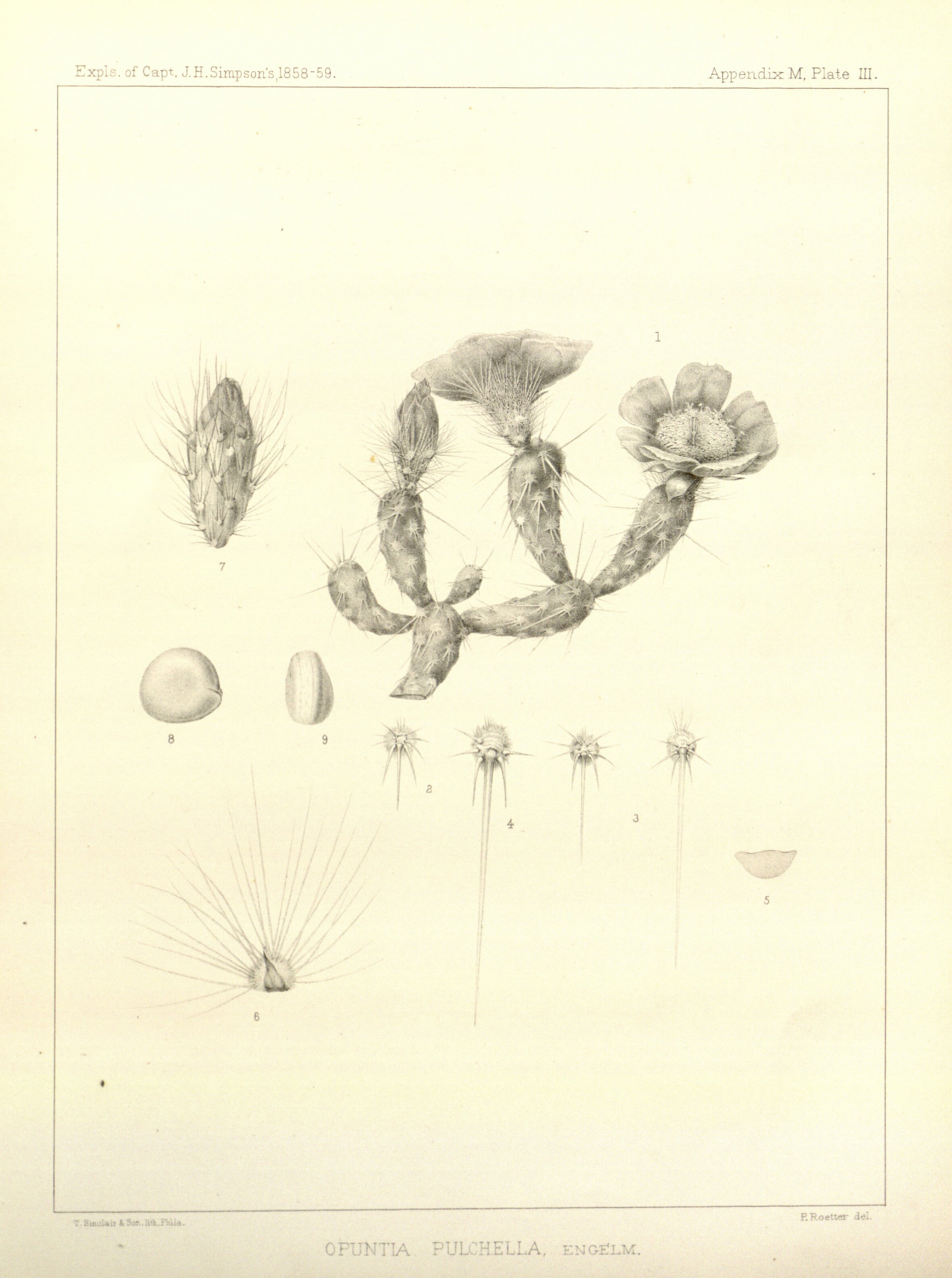 no full size  illustration available (3a)