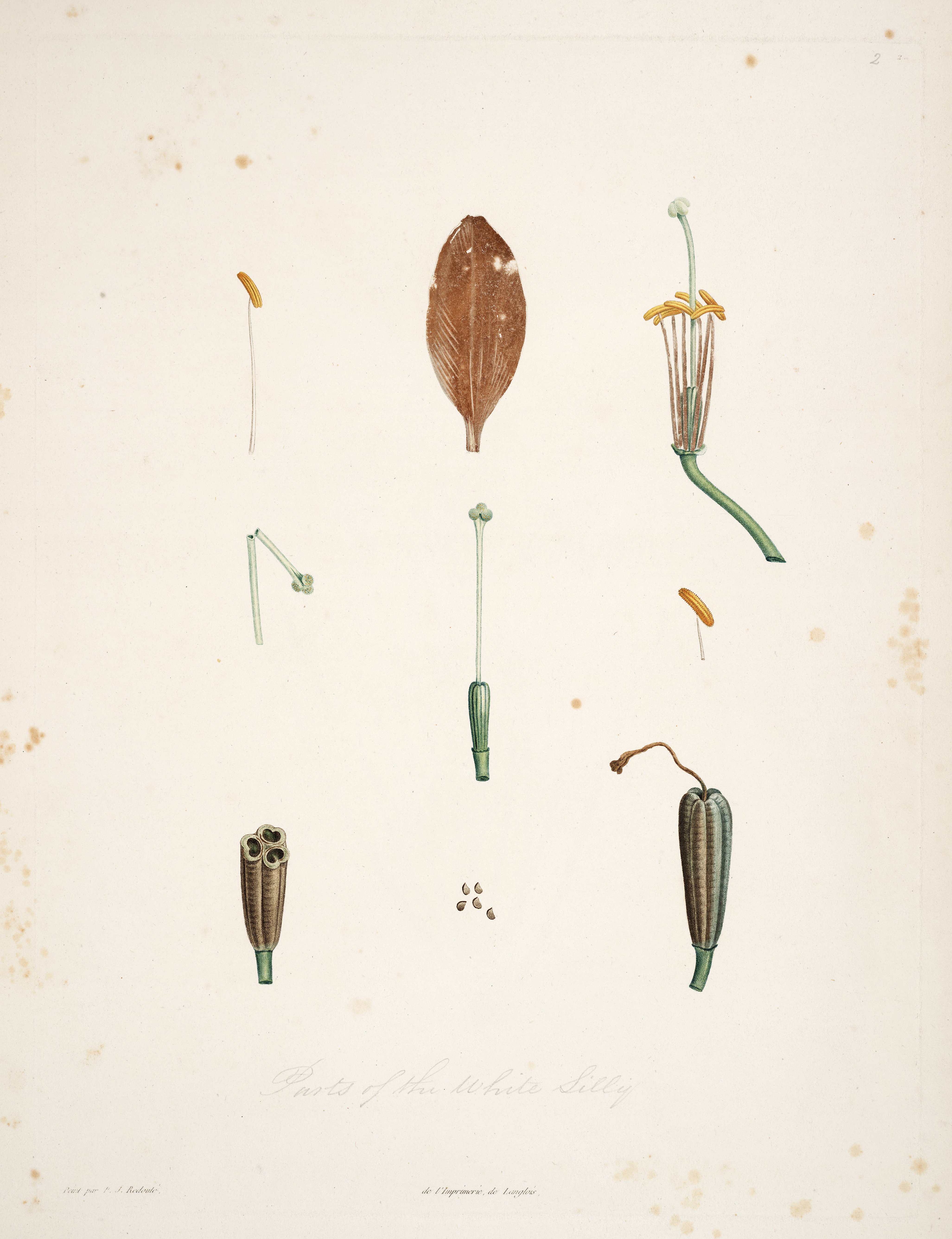 no full size  illustration available (3a)