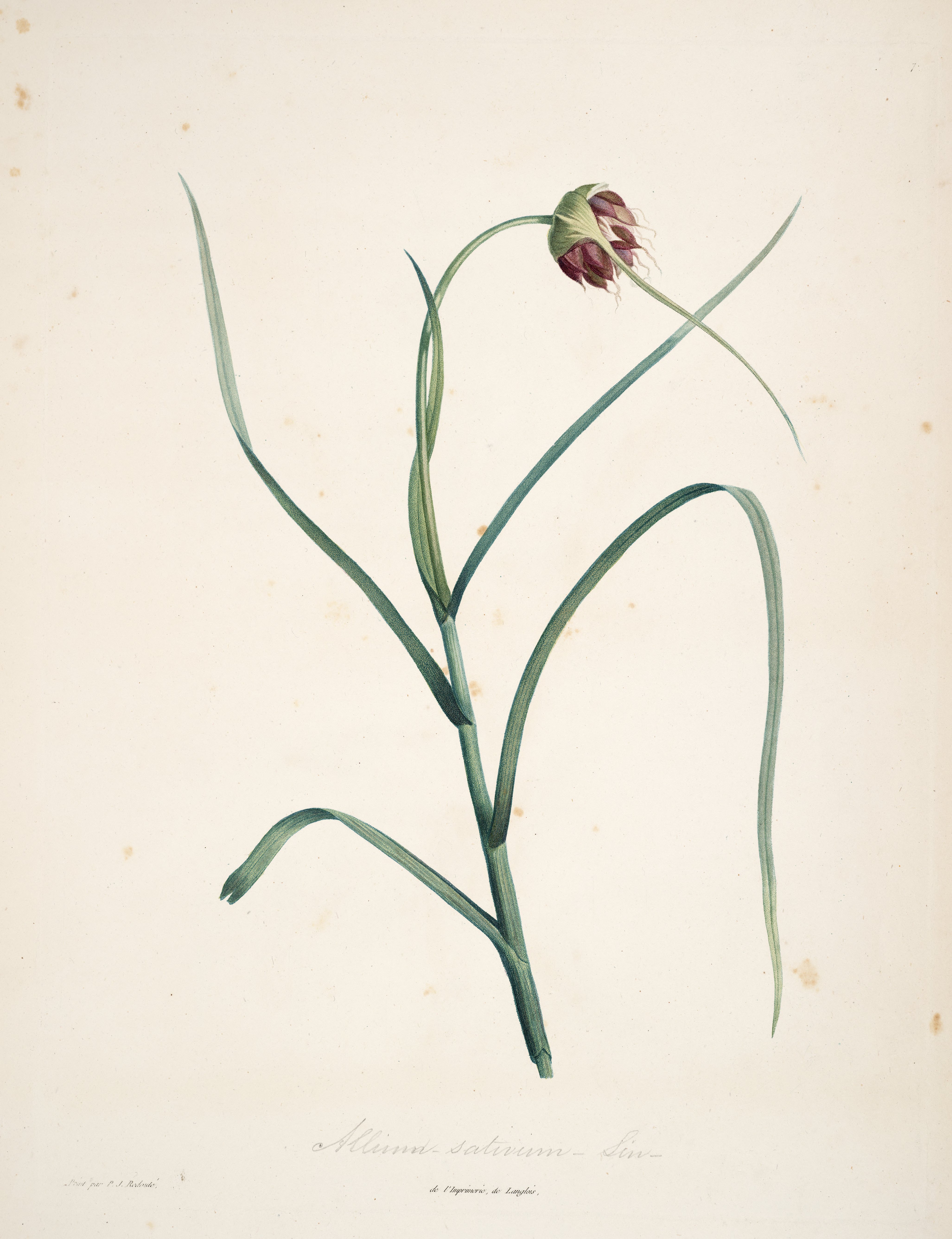 no full size  illustration available (3a)