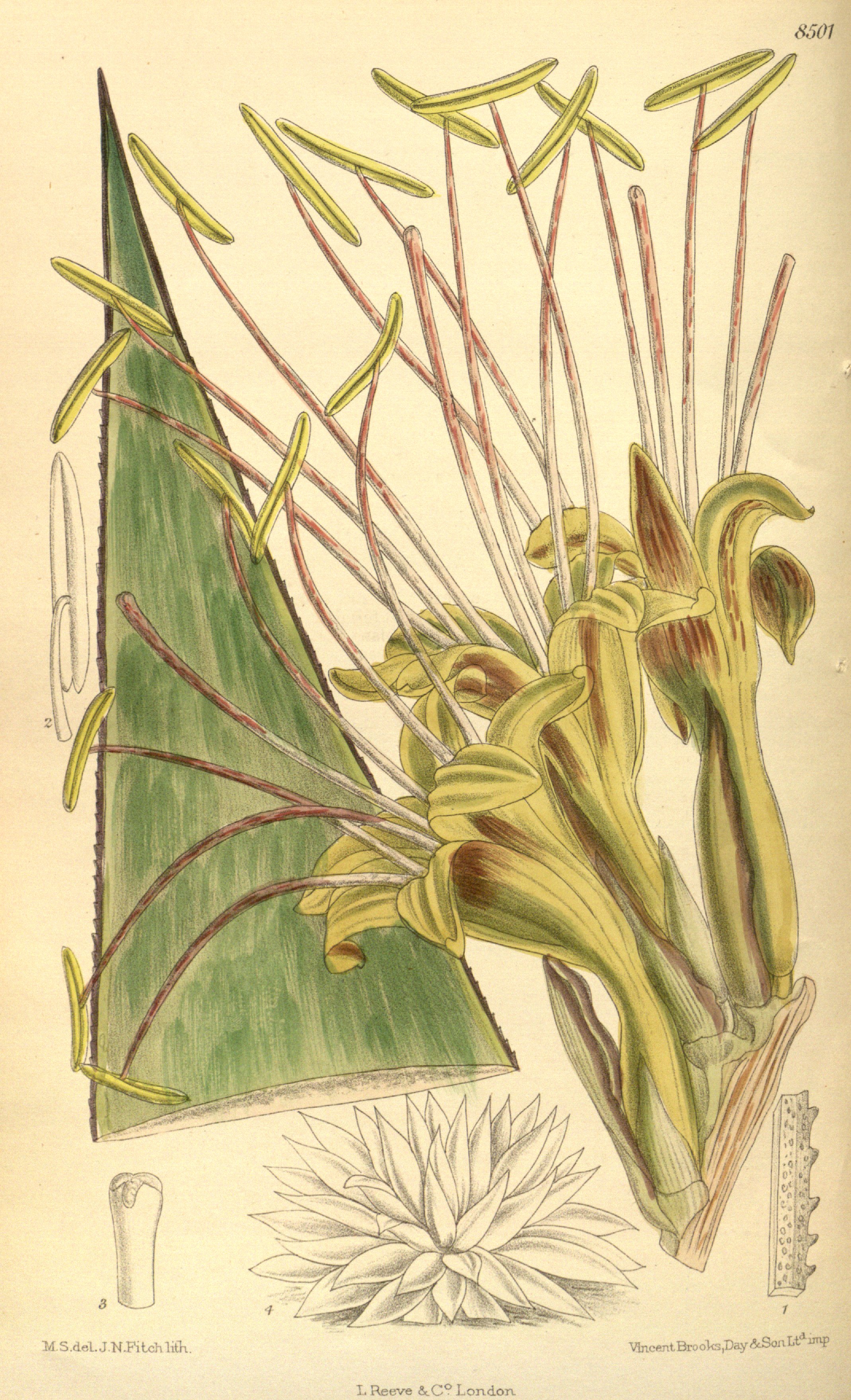 no full size  illustration available (3a)