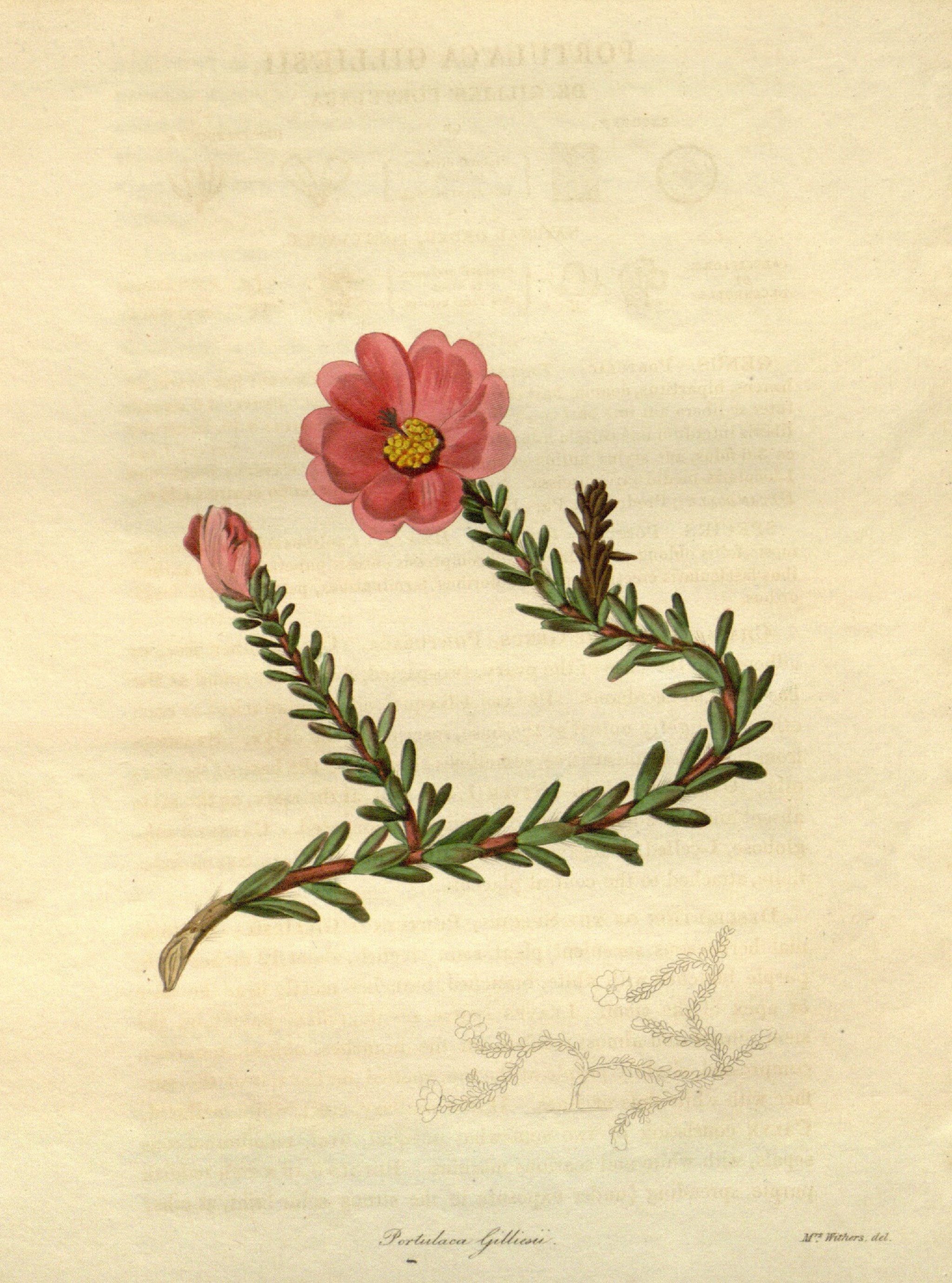 no full size  illustration available (3a)