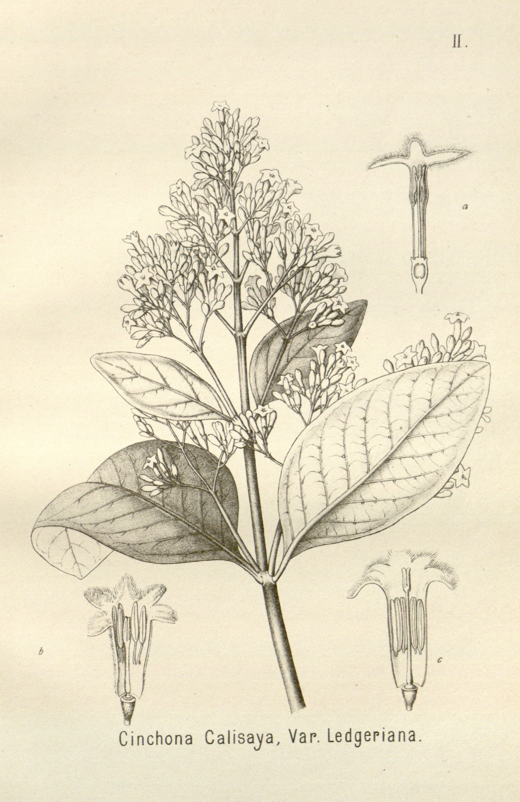 no full size  illustration available (3a)