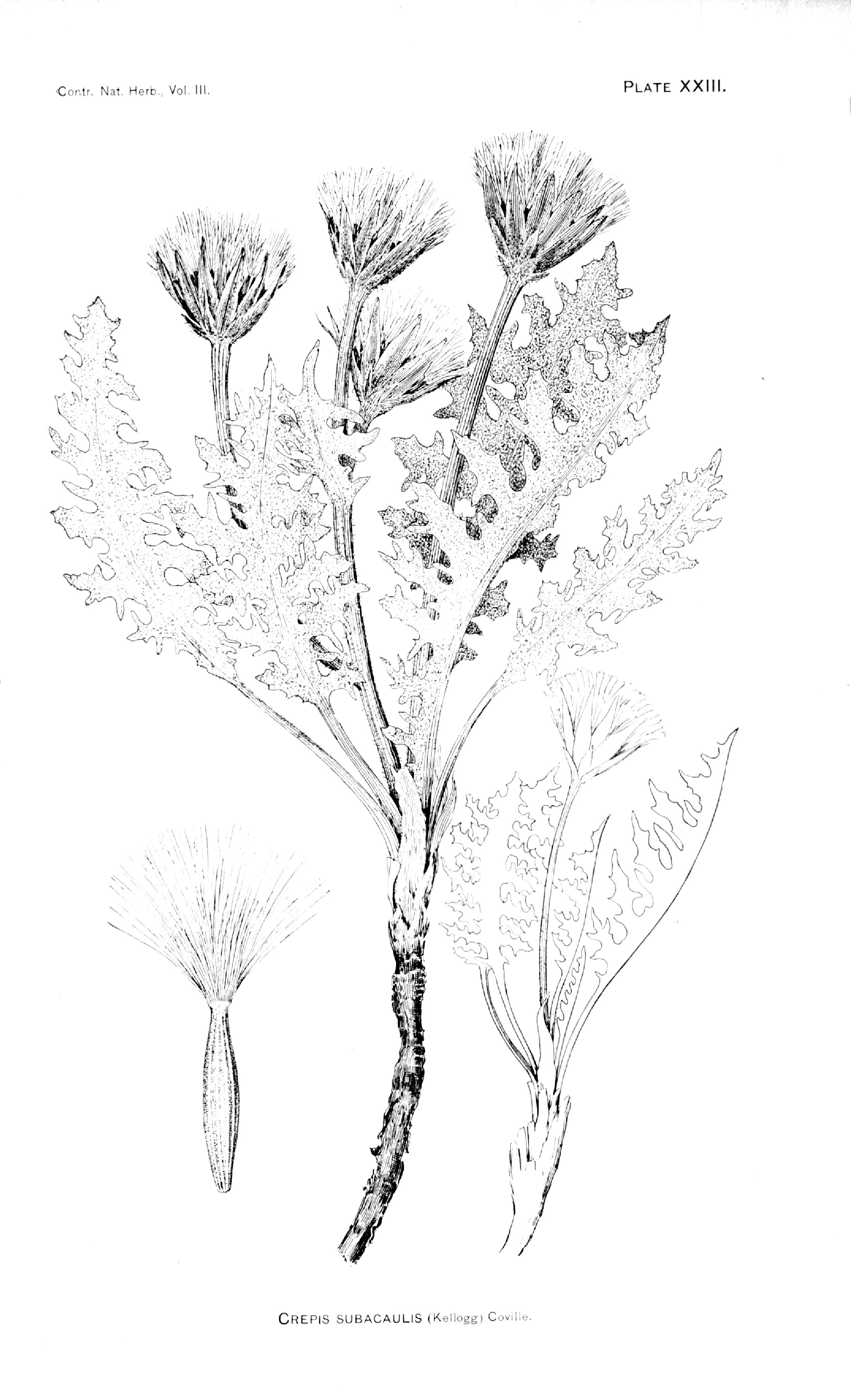 no full size  illustration available (3a)