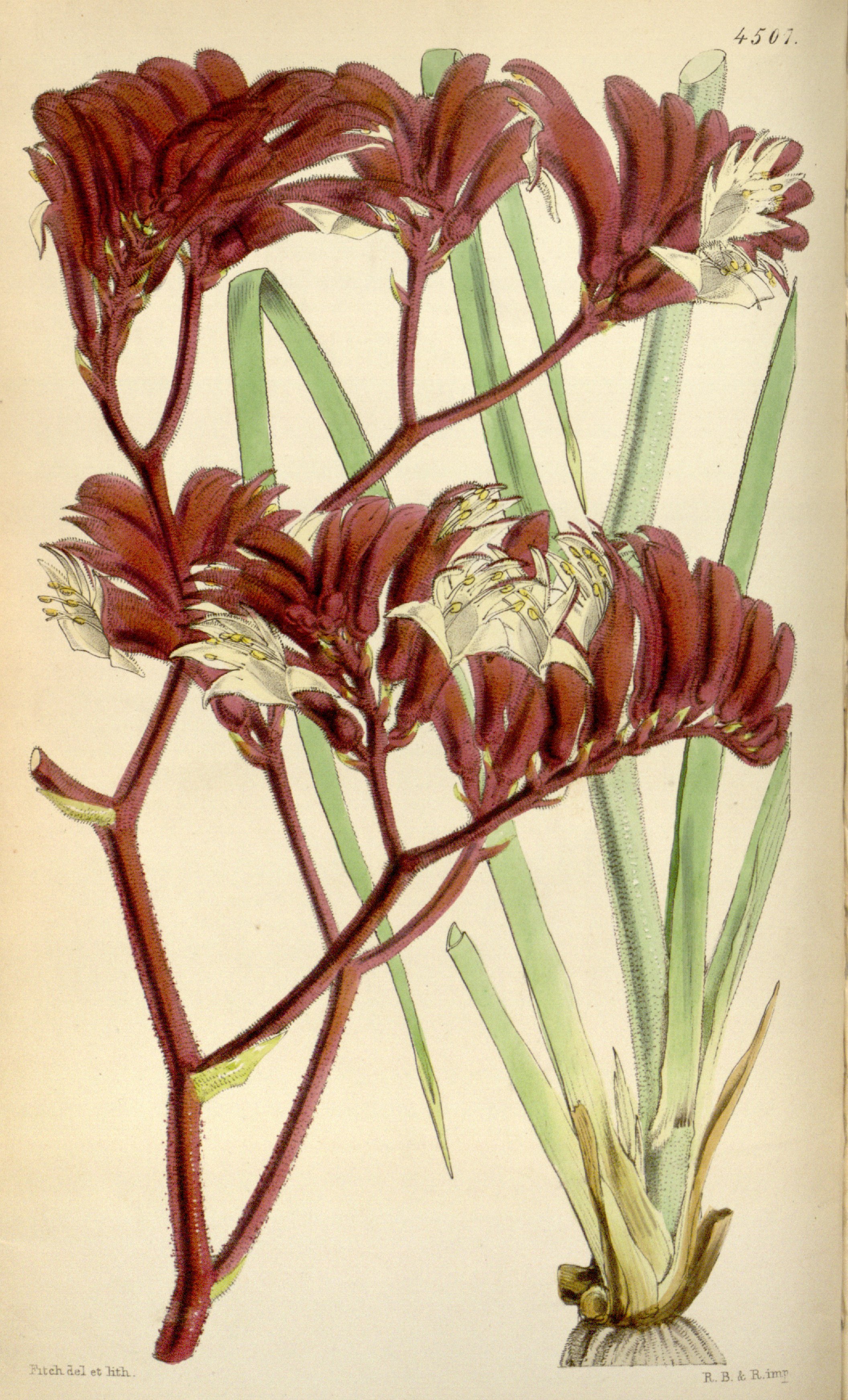 no full size  illustration available (3a)