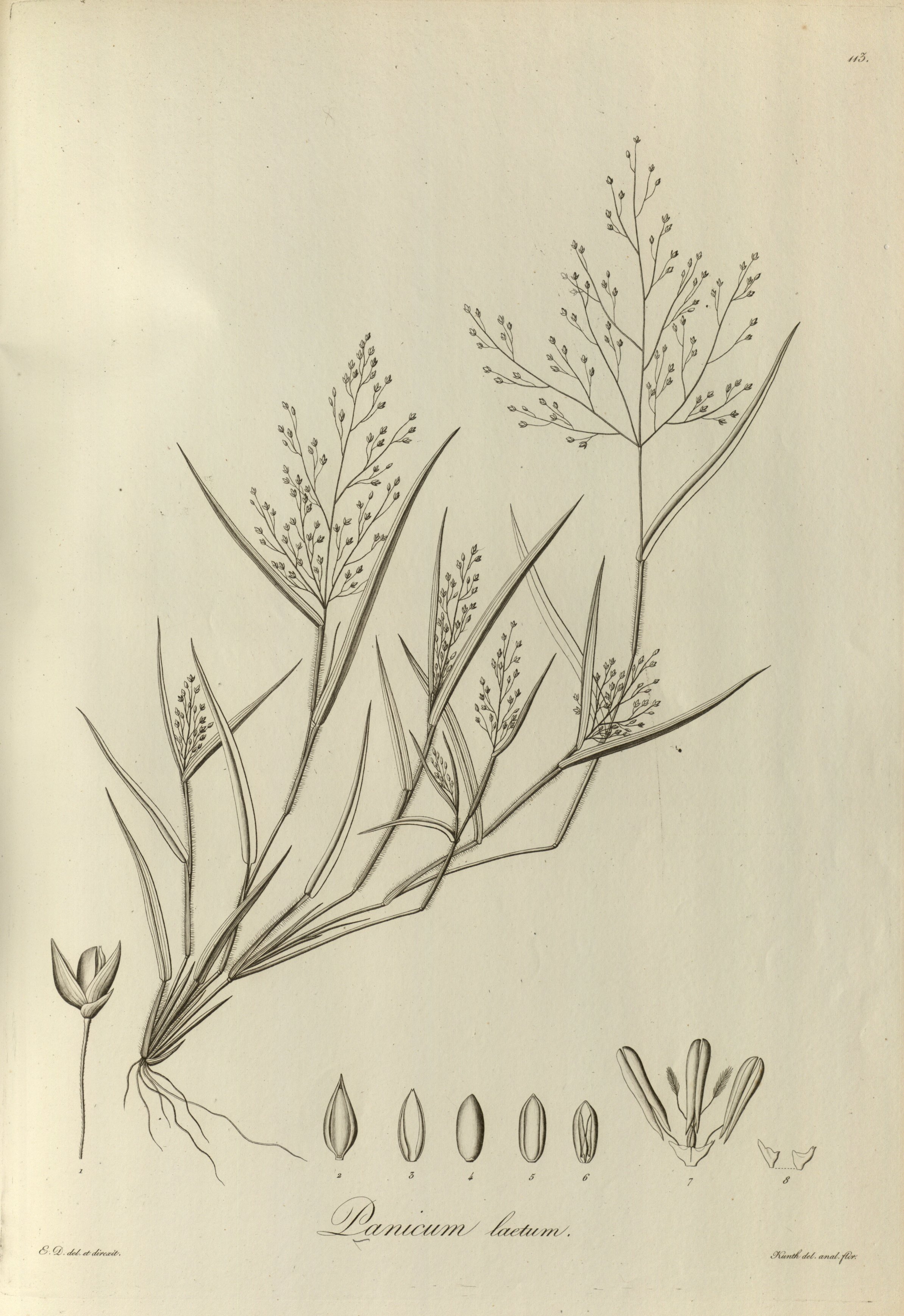 no full size  illustration available (3a)