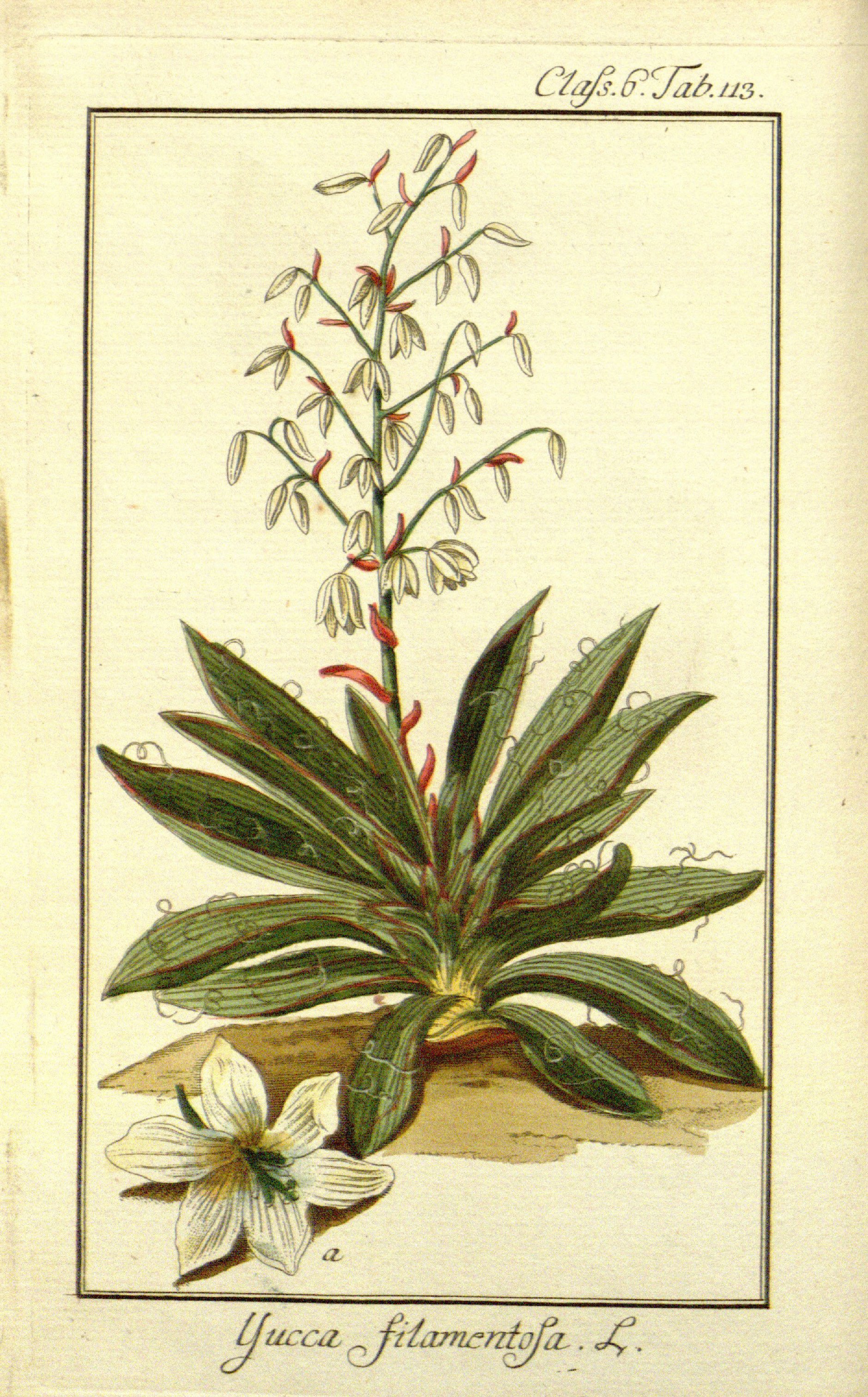 no full size  illustration available (3a)