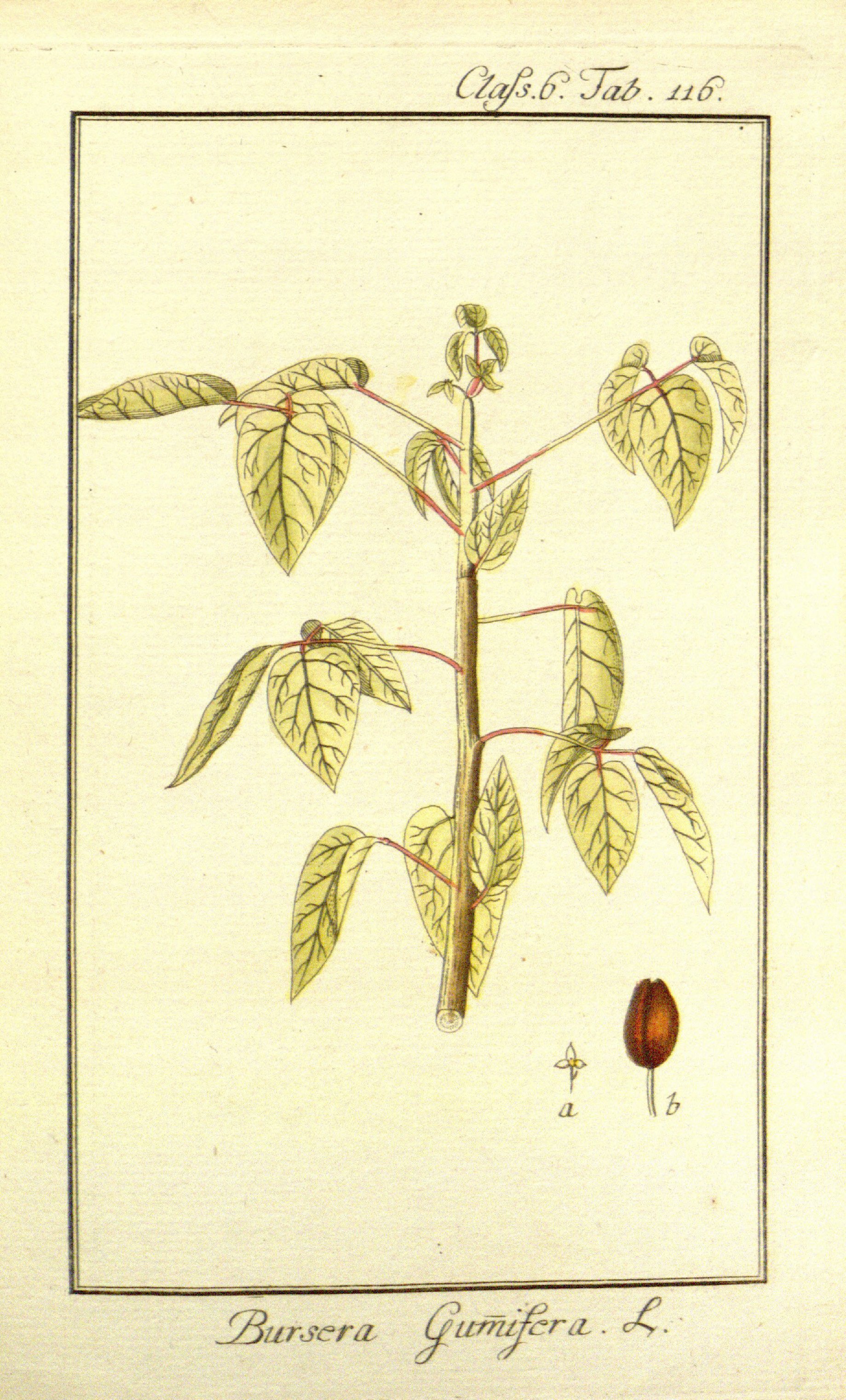 no full size  illustration available (3a)