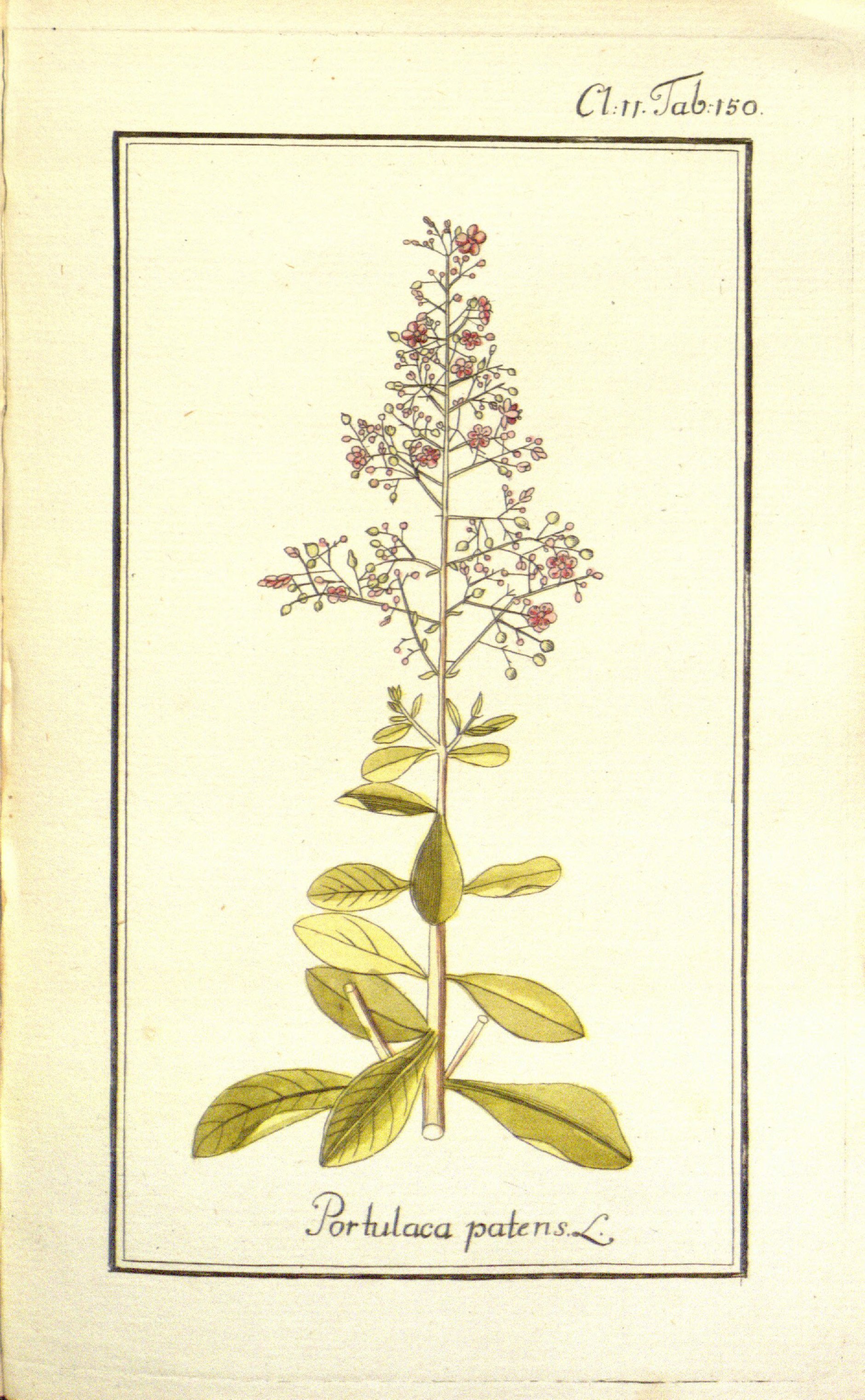 no full size  illustration available (3a)