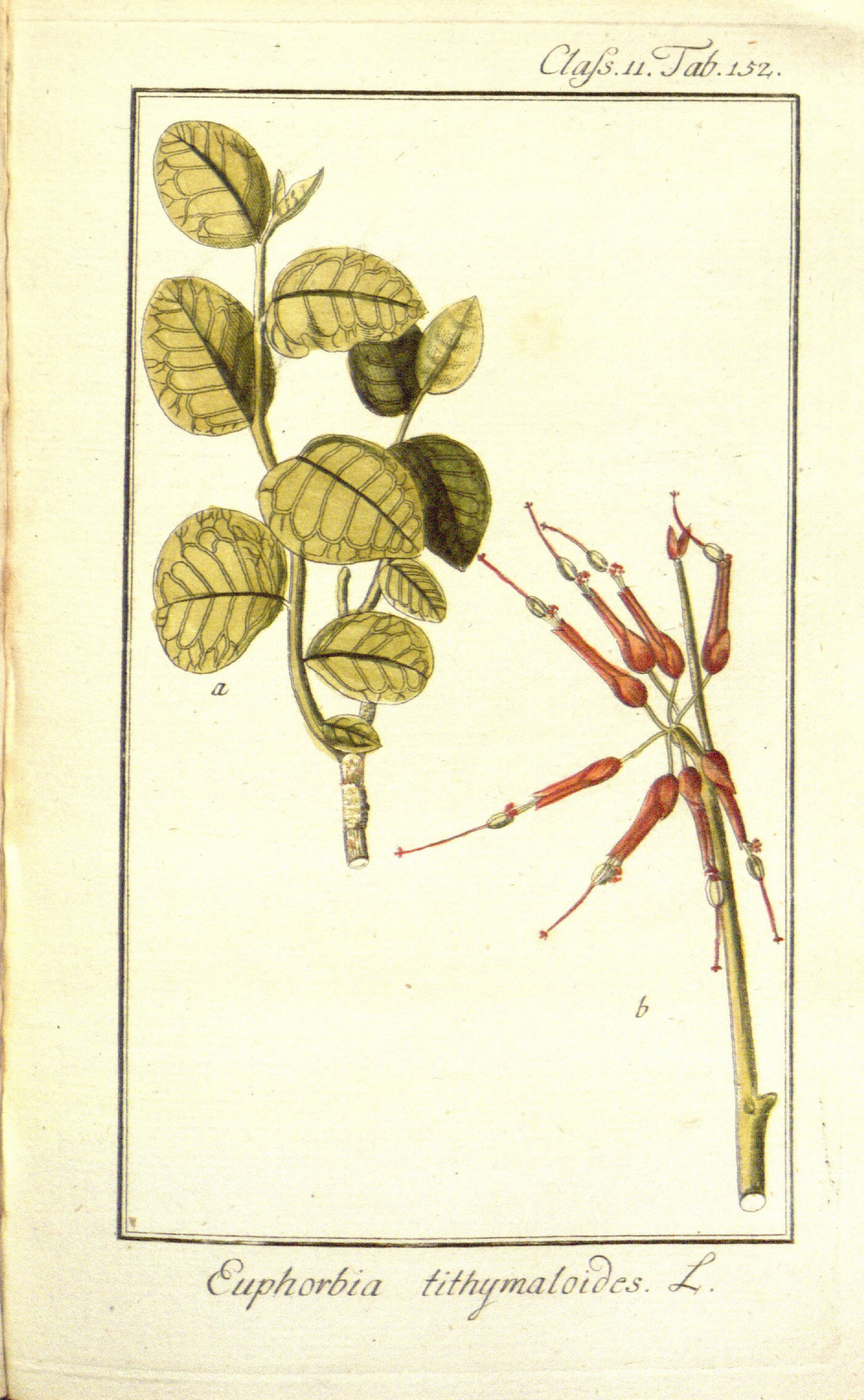 no full size  illustration available (3a)