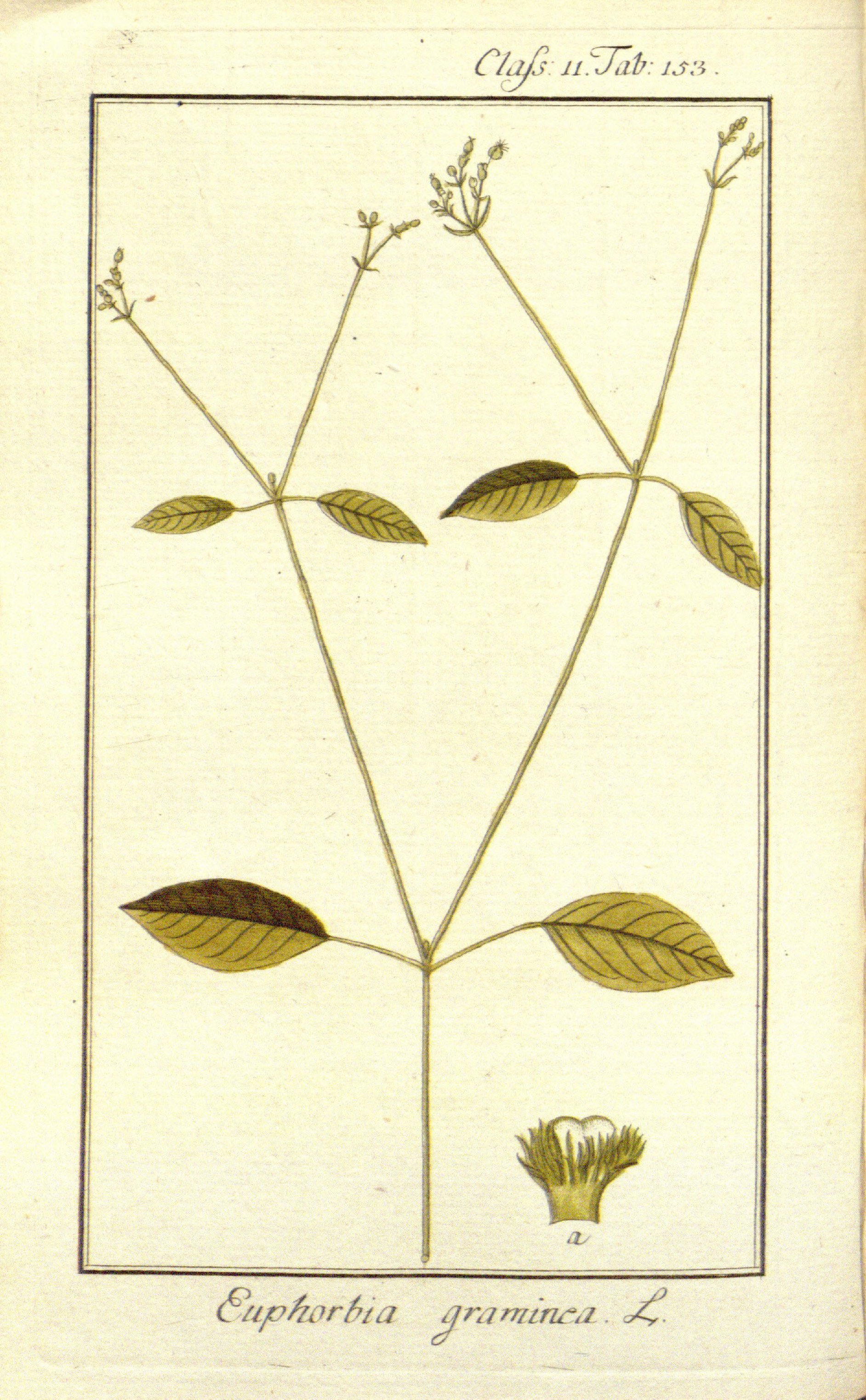 no full size  illustration available (3a)