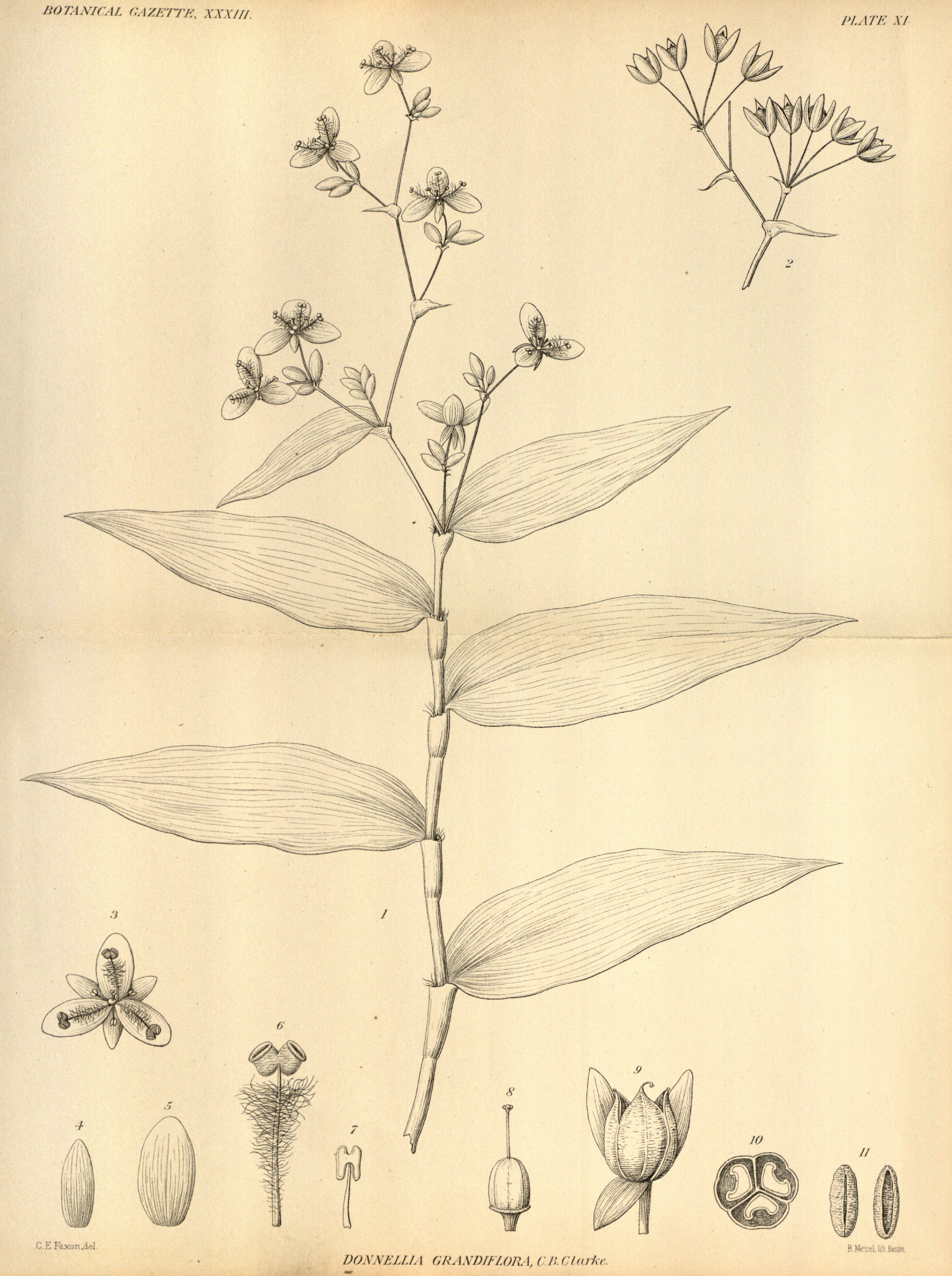 no full size  illustration available (3a)