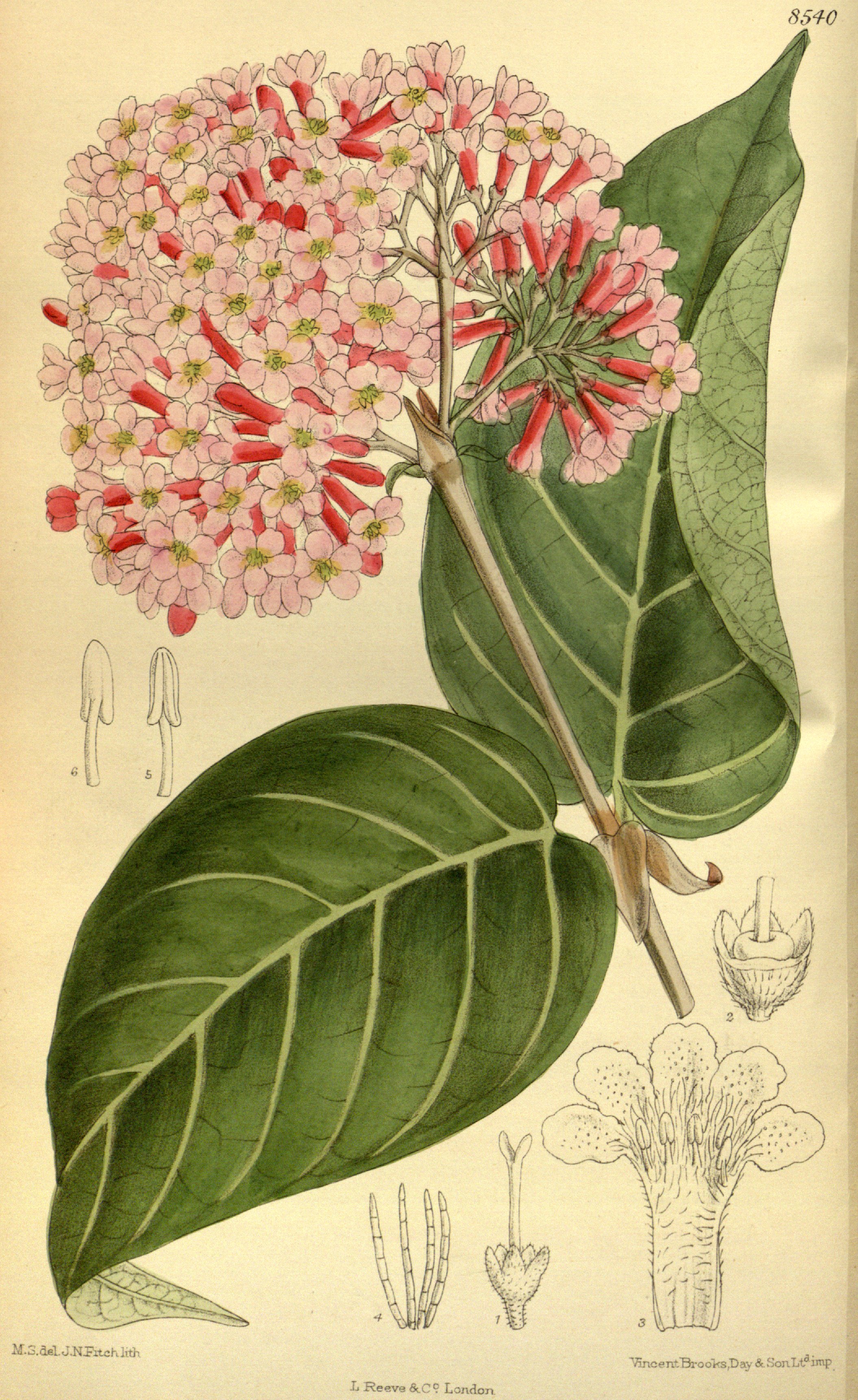 no full size  illustration available (3a)