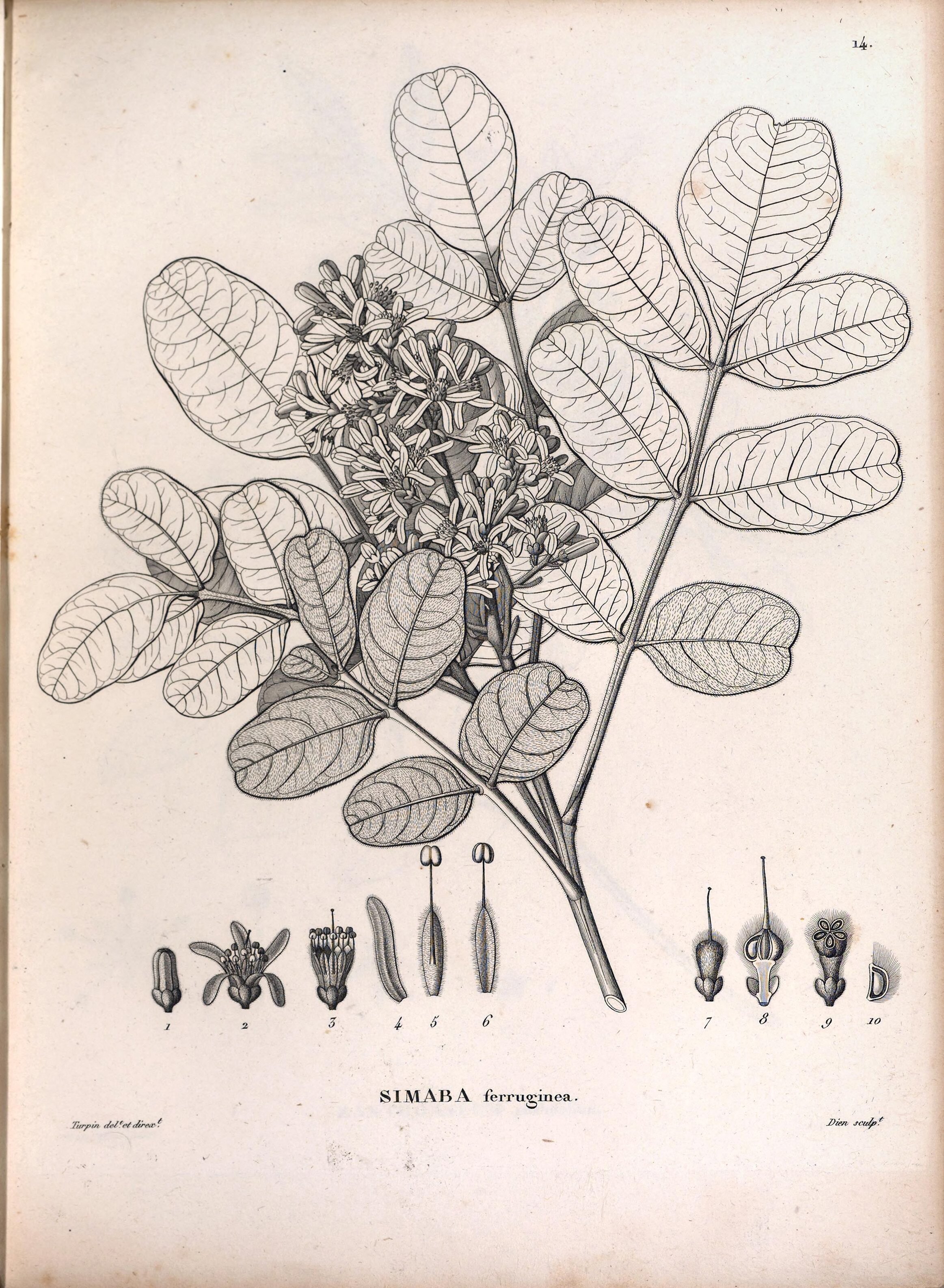 no full size  illustration available (3a)