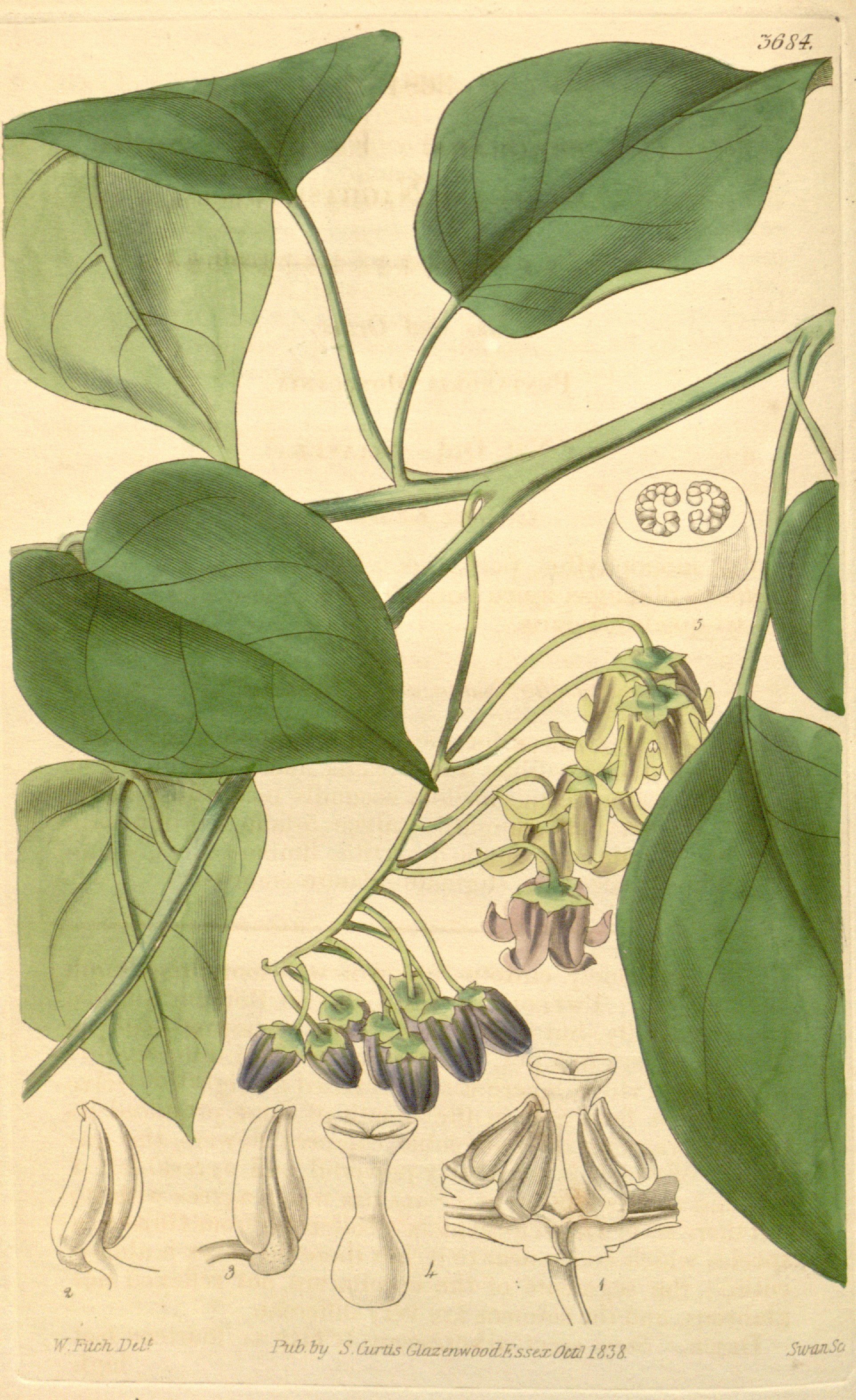 no full size  illustration available (3a)