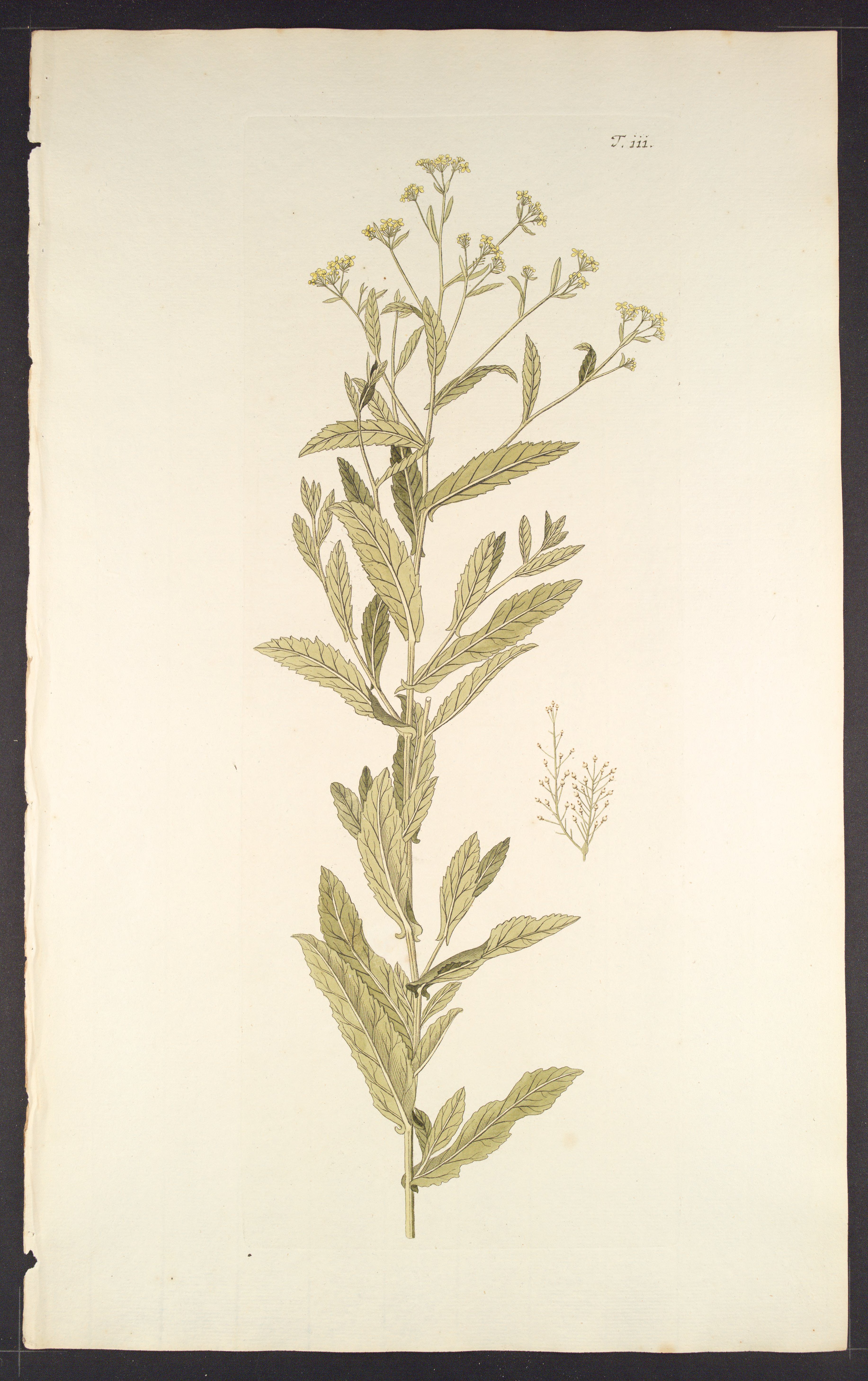 no full size  illustration available (3a)