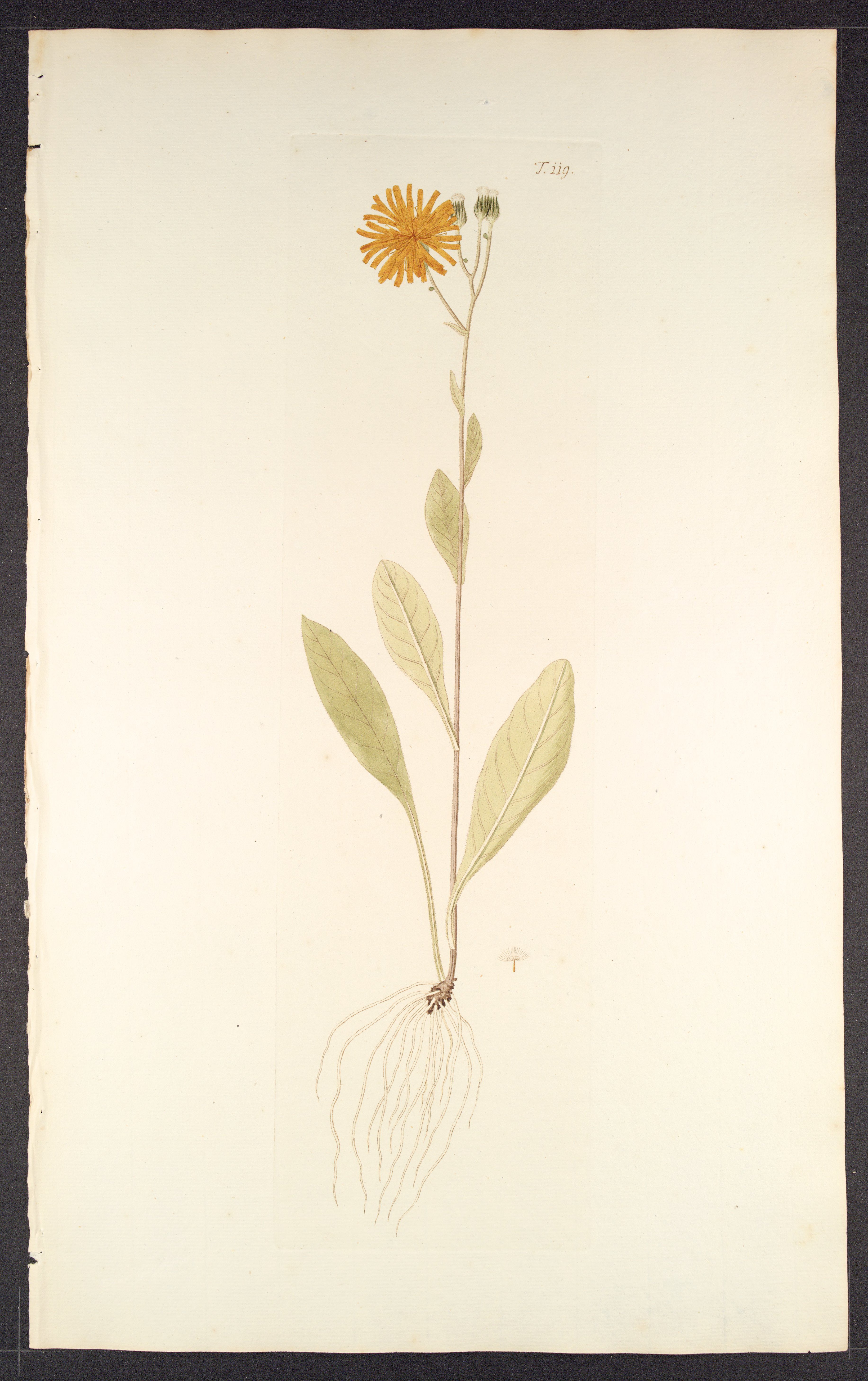 no full size  illustration available (3a)