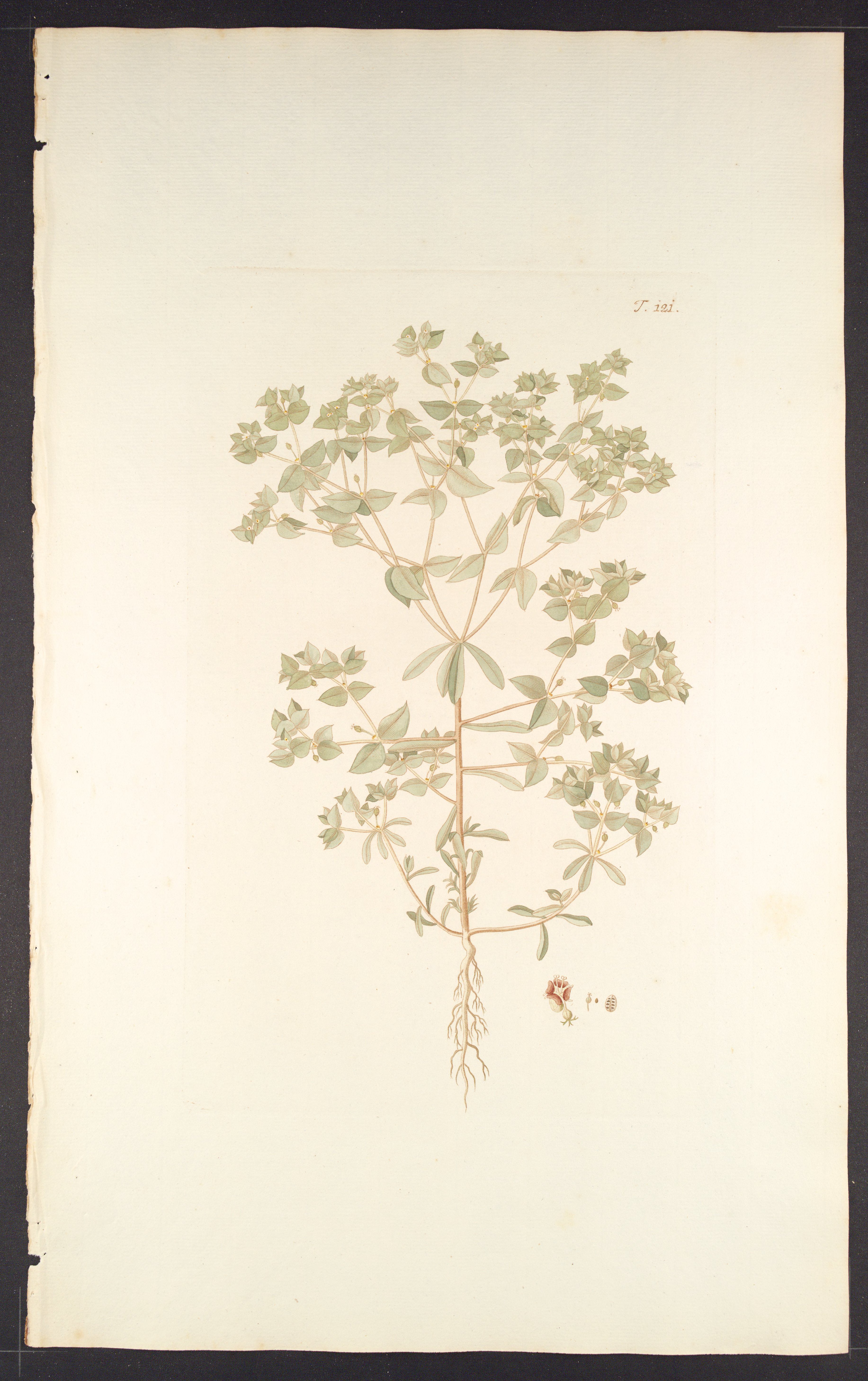 no full size  illustration available (3a)