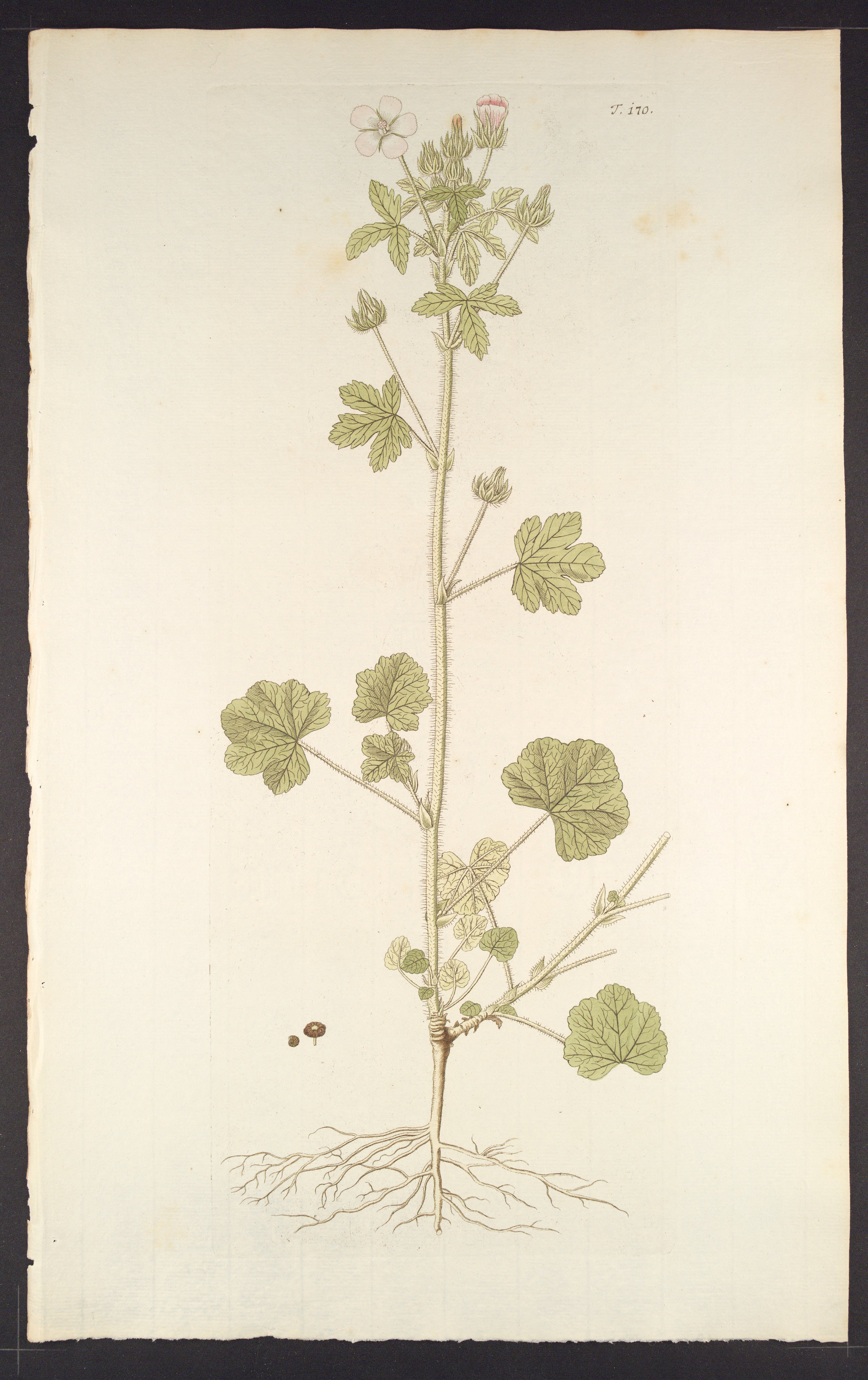 no full size  illustration available (3a)