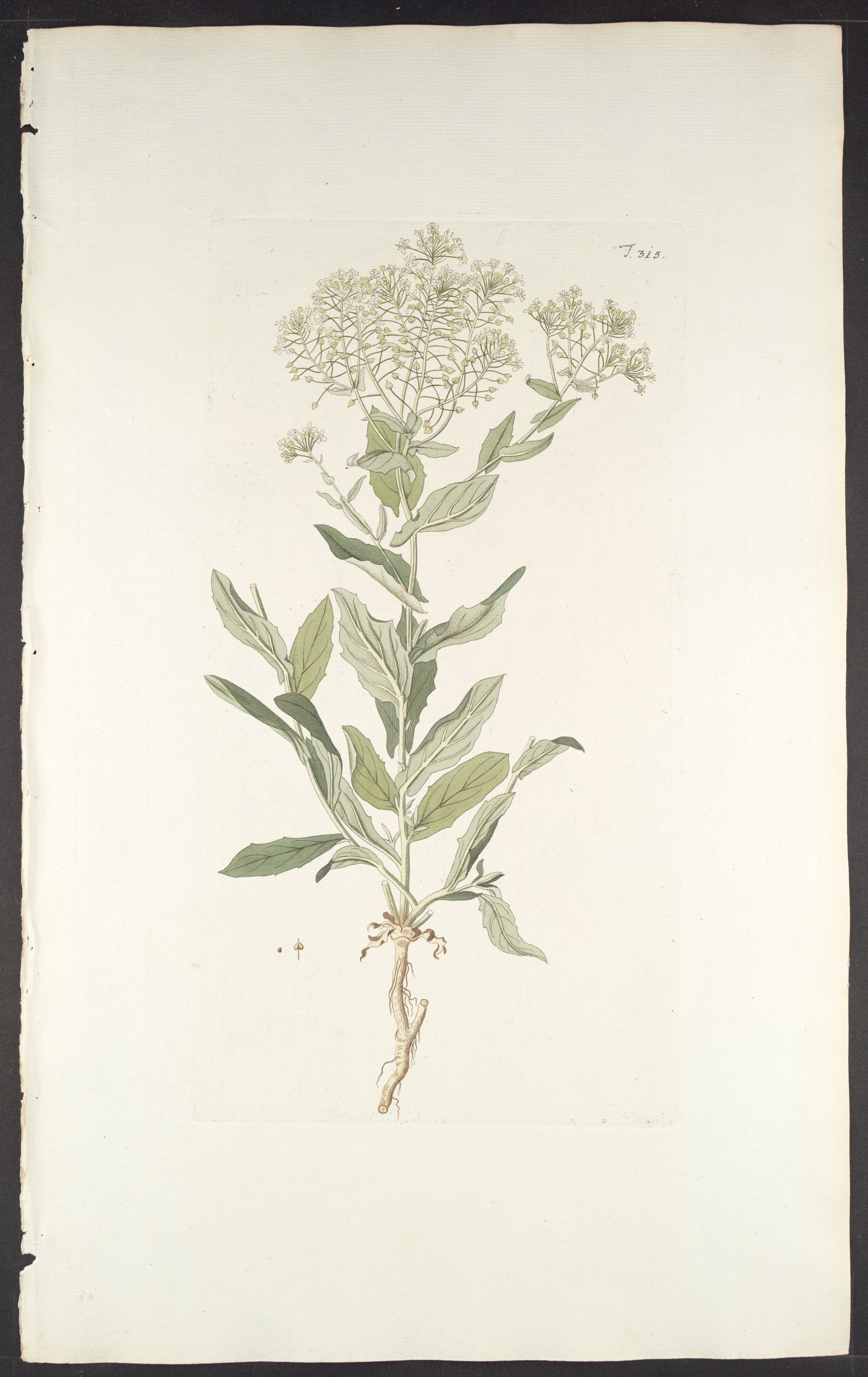 no full size  illustration available (3a)