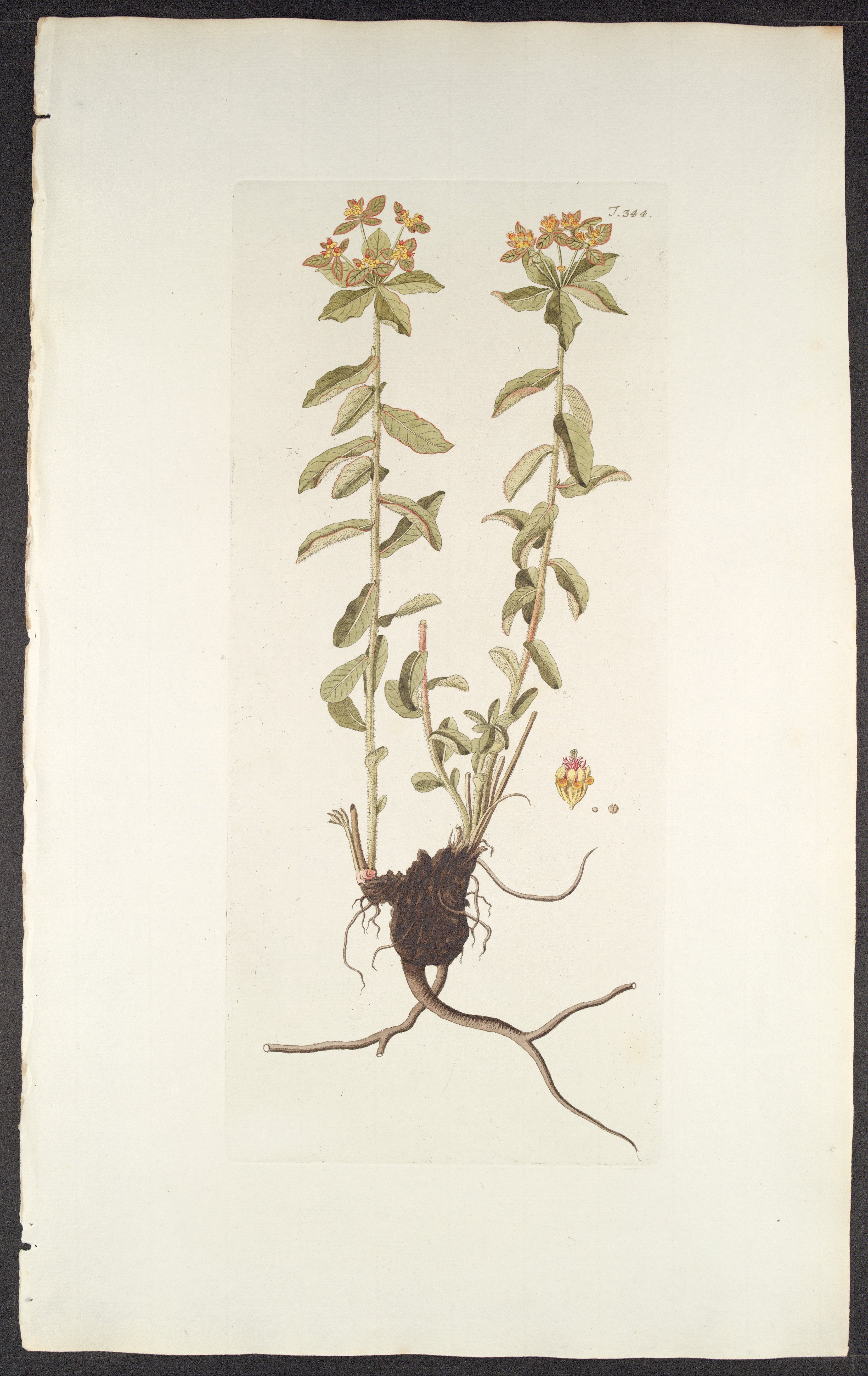 no full size  illustration available (3a)