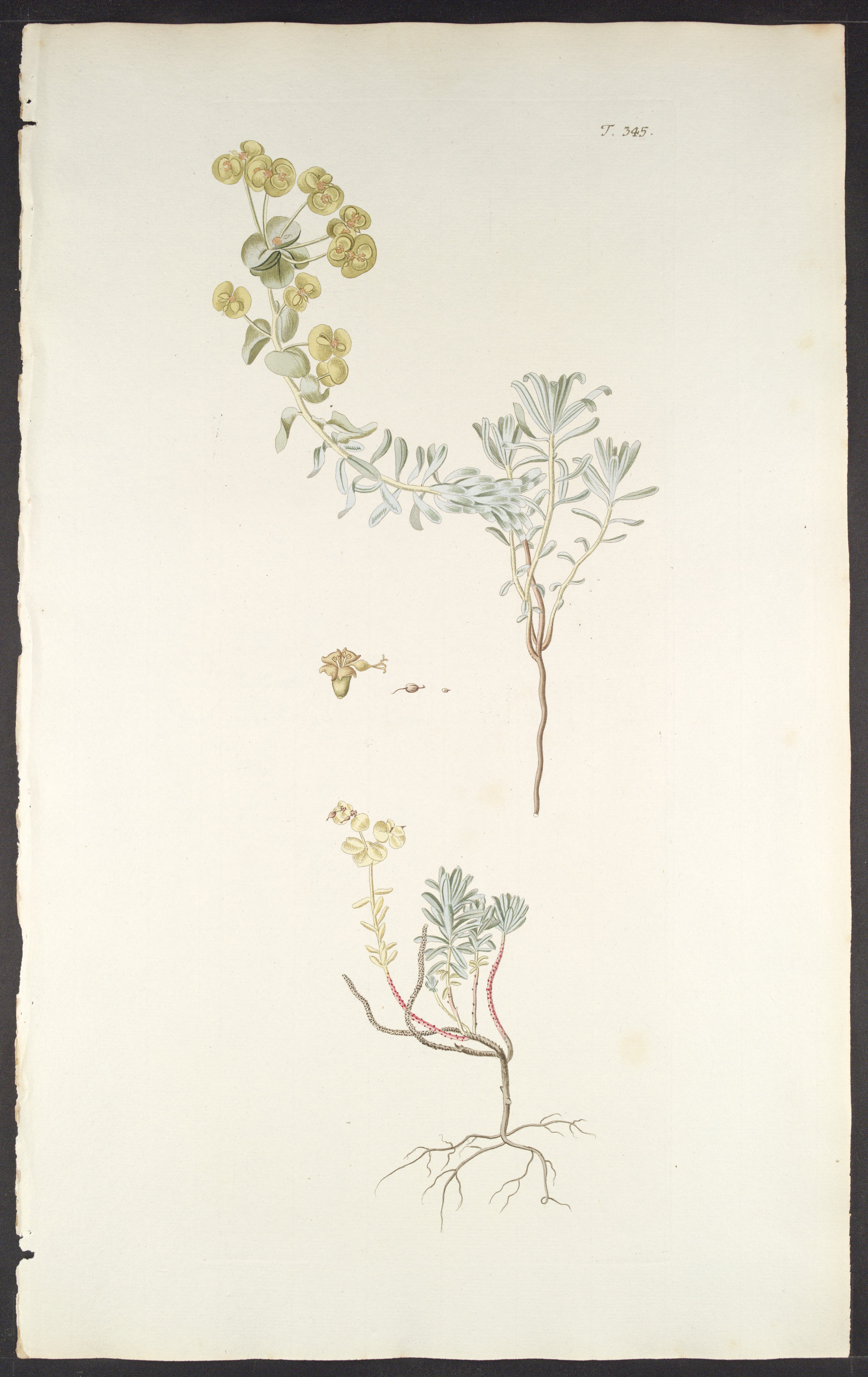 no full size  illustration available (3a)