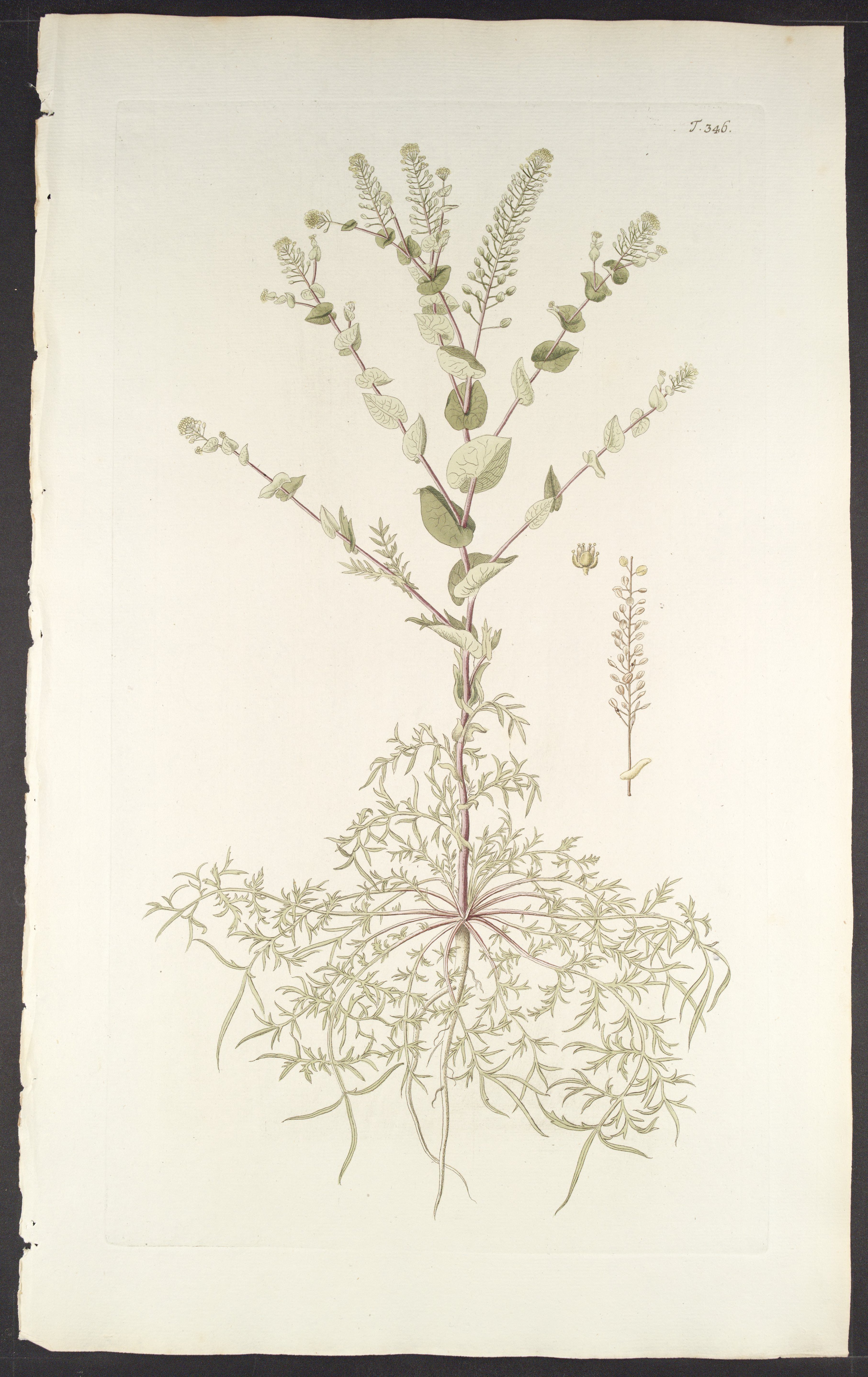 no full size  illustration available (3a)