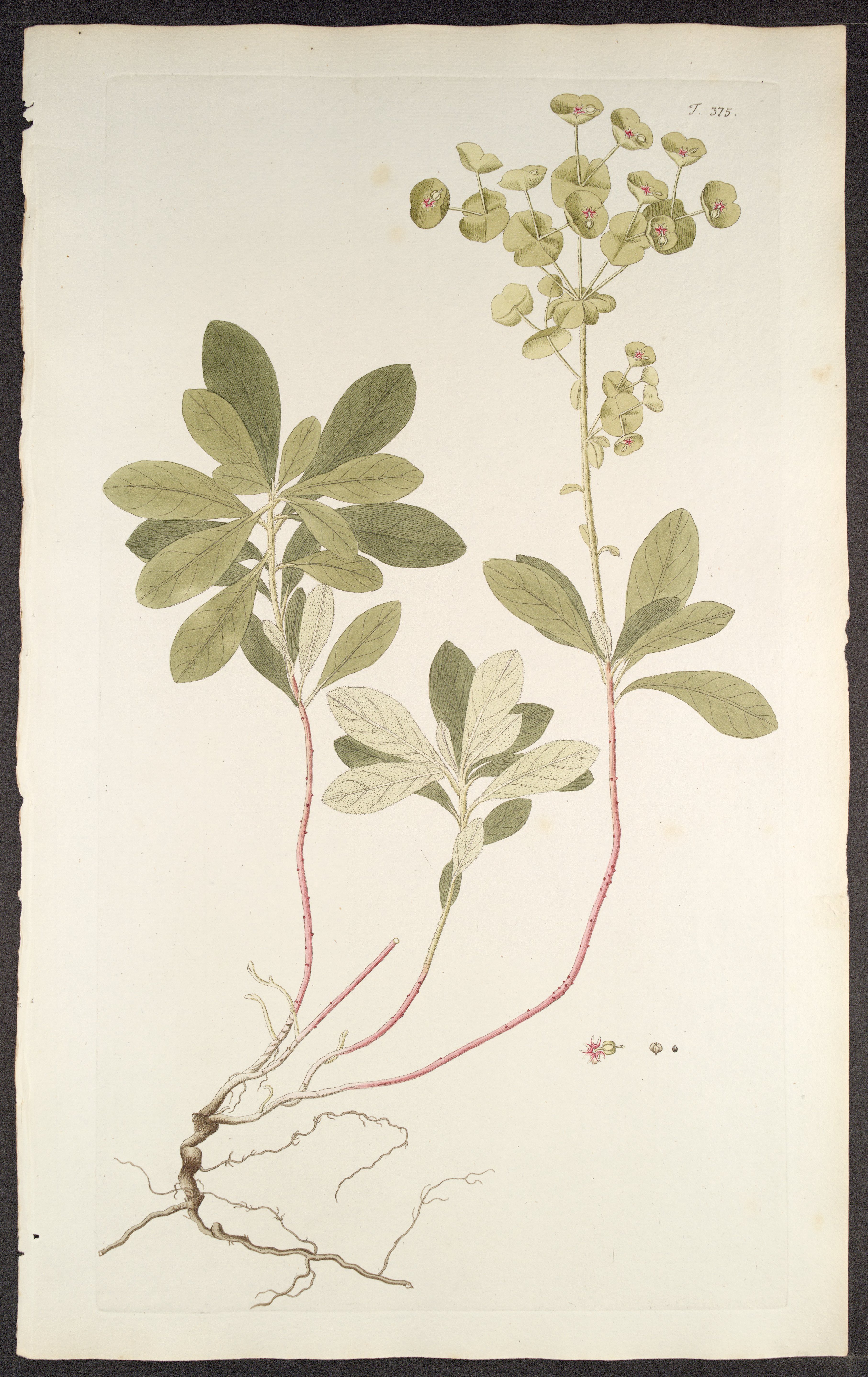 no full size  illustration available (3a)