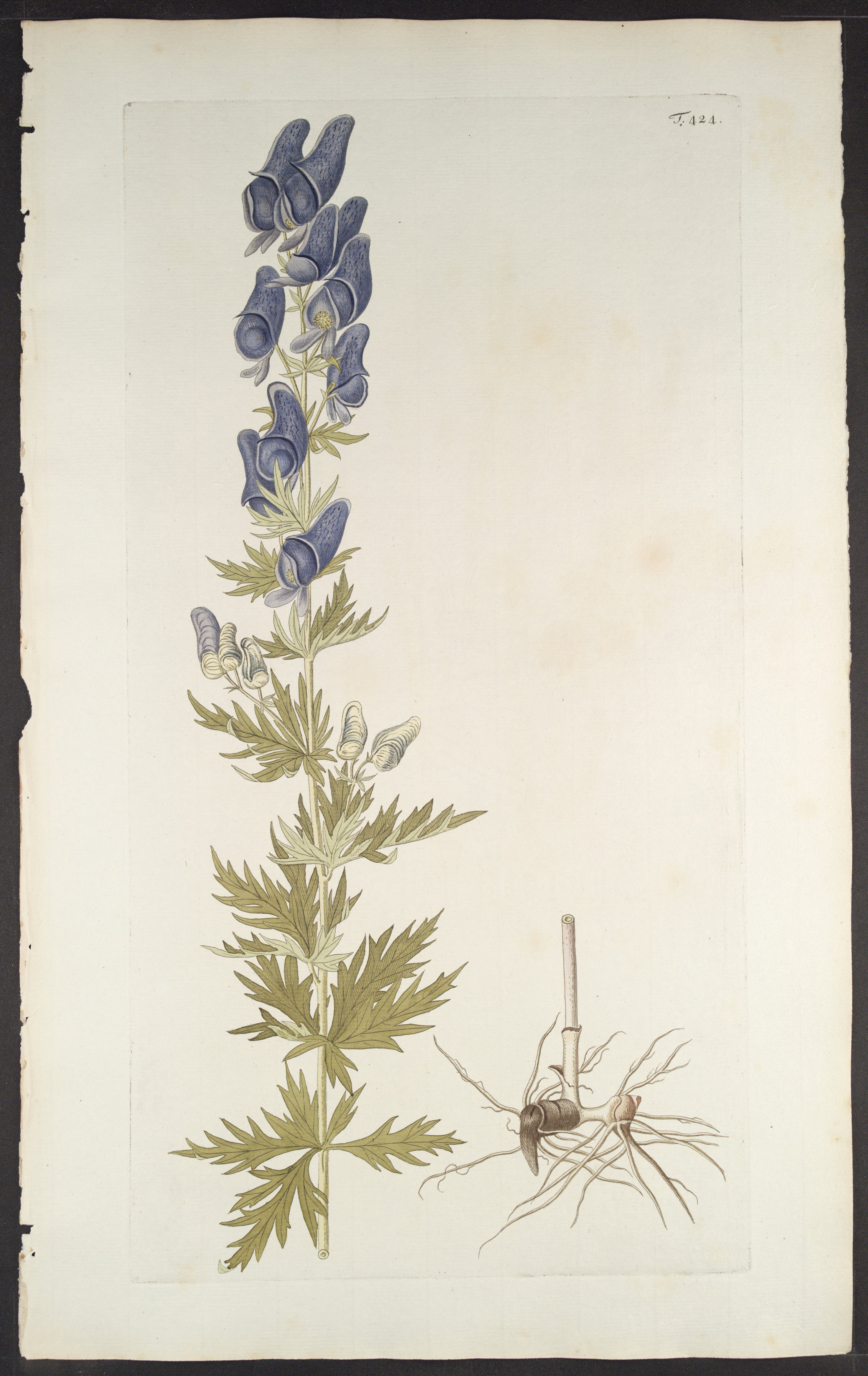 no full size  illustration available (3a)