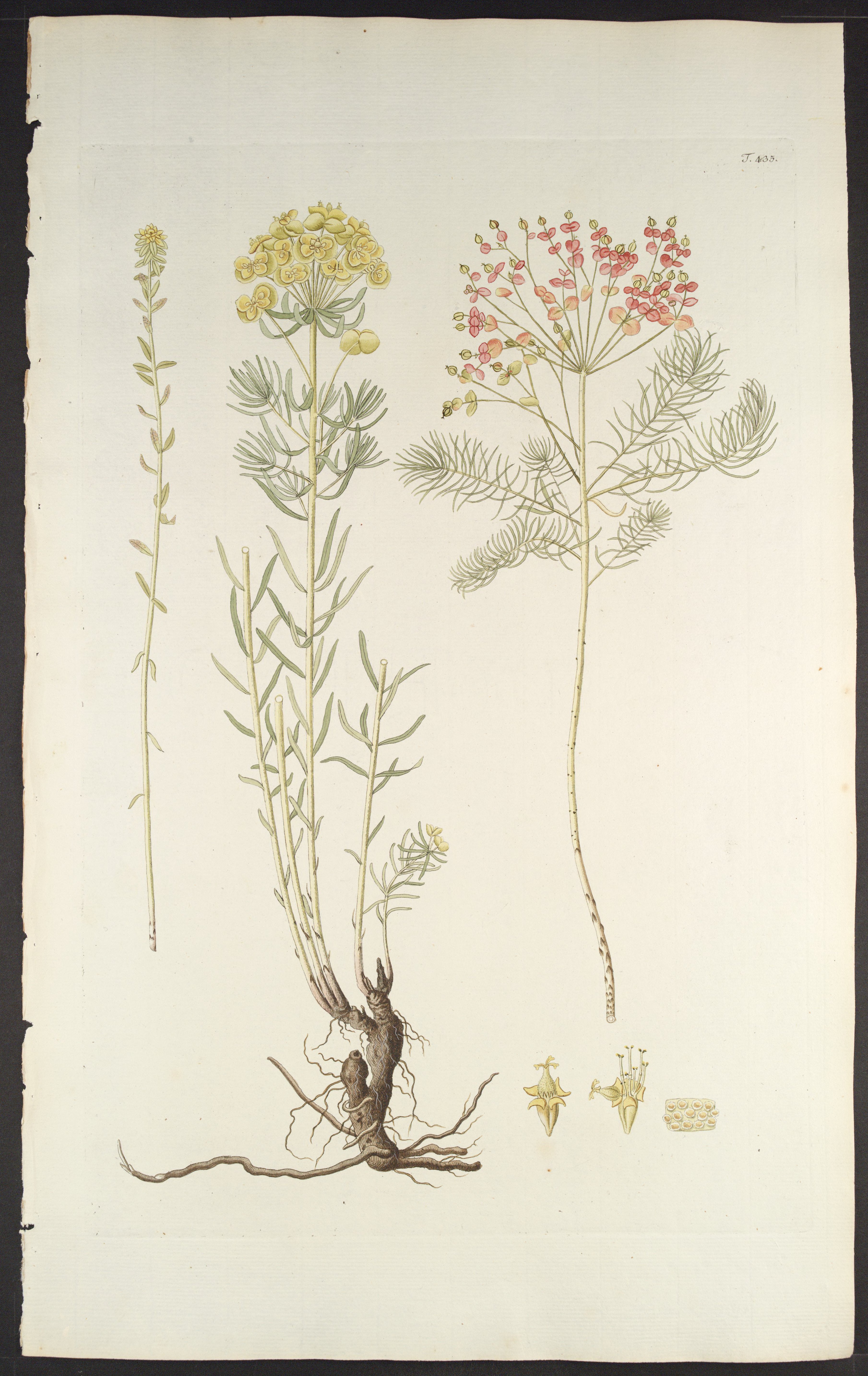 no full size  illustration available (3a)