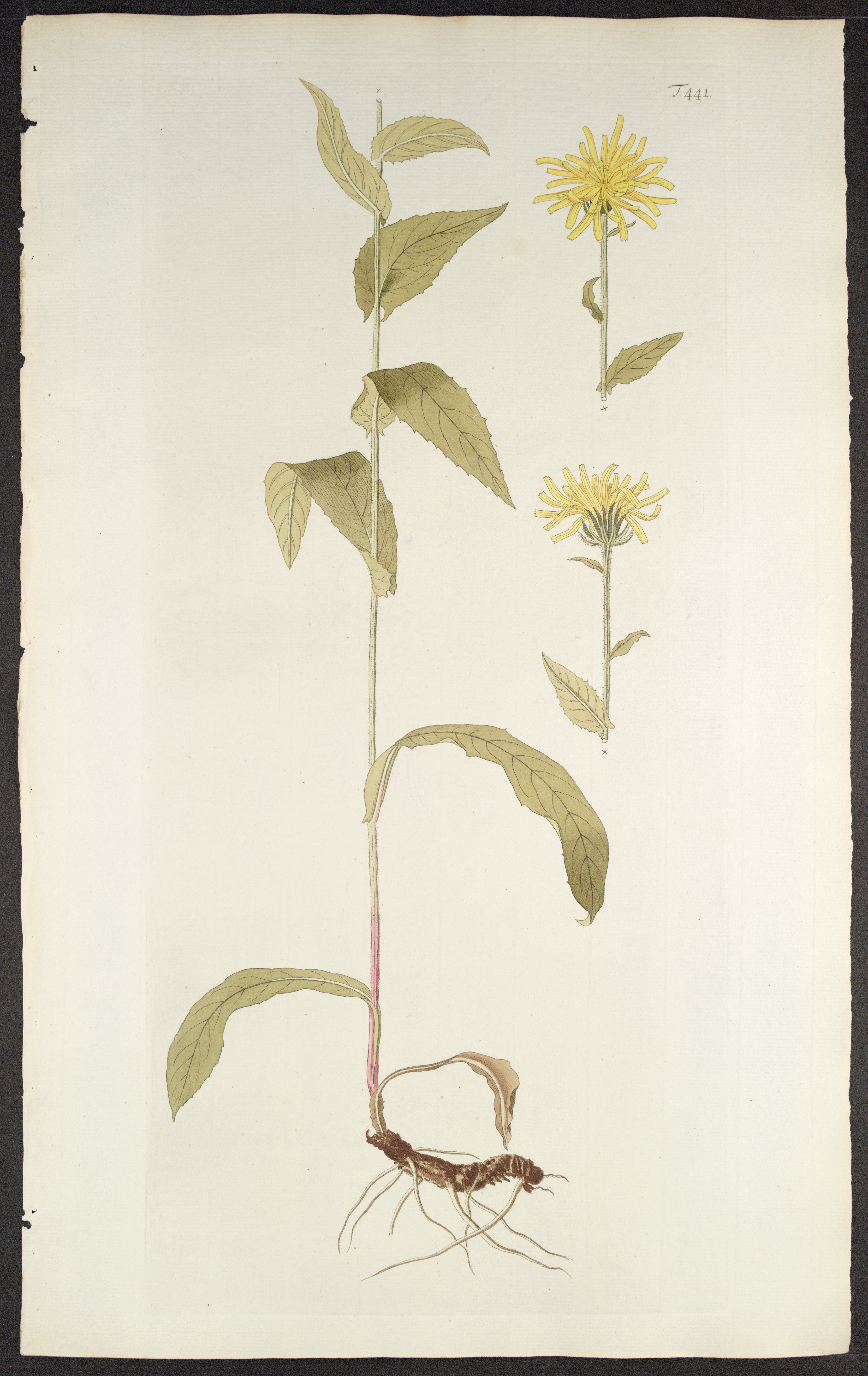 no full size  illustration available (3a)