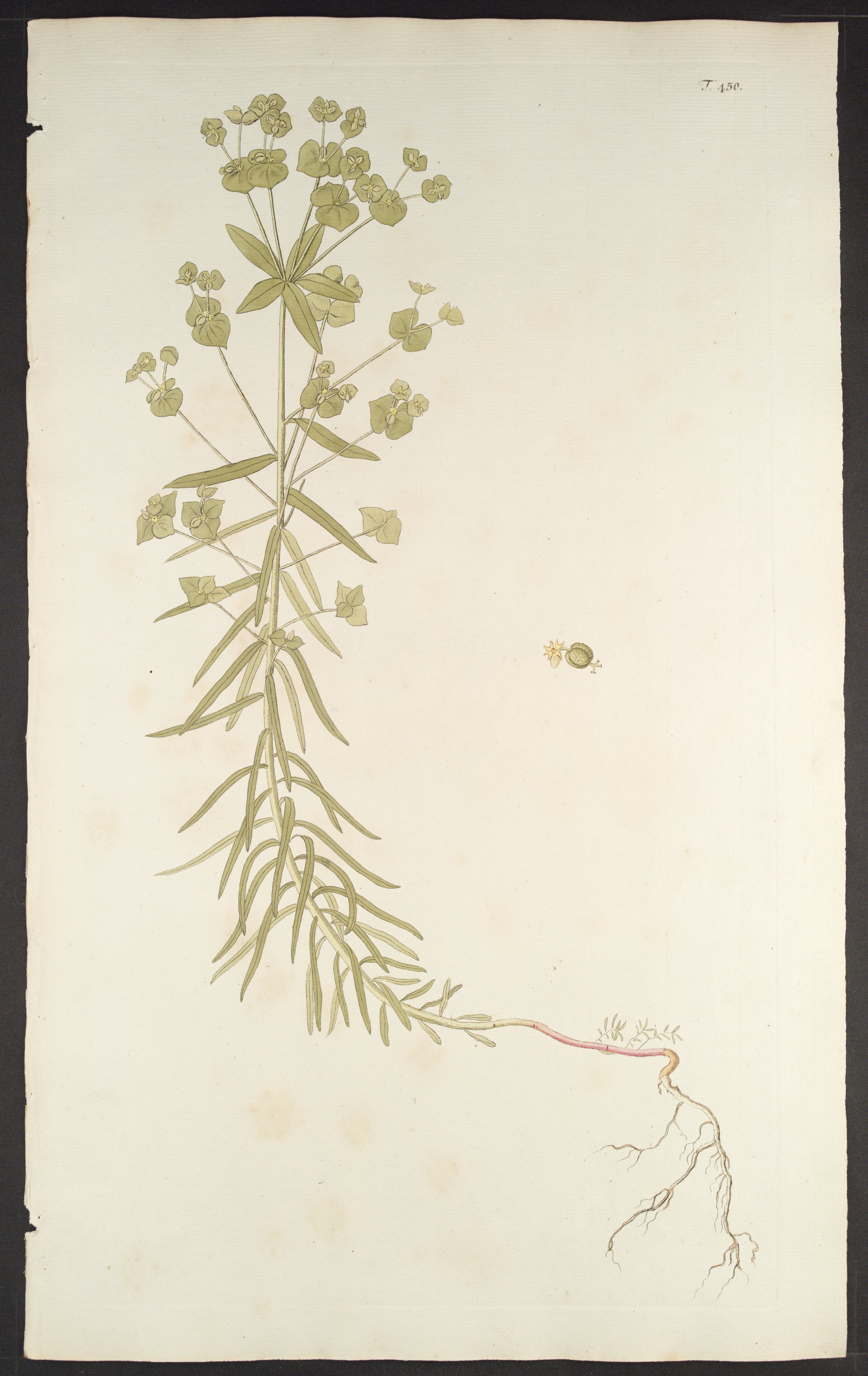 no full size  illustration available (3a)