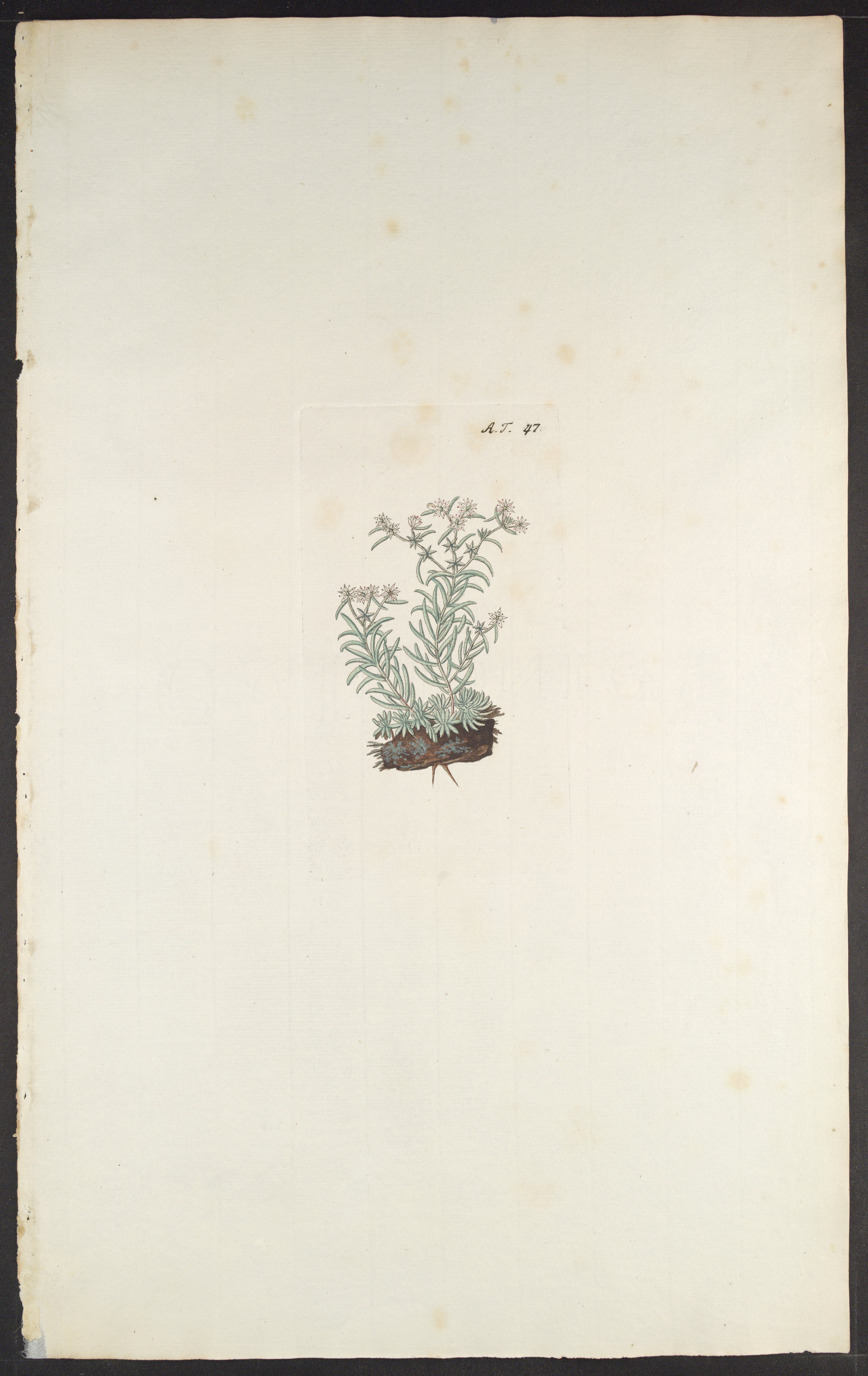 no full size  illustration available (3a)